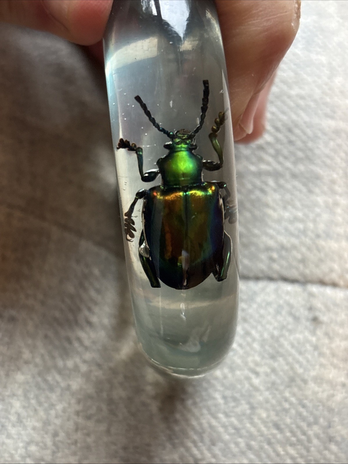 Vtg Metallic Frog Legged Beetle Bracelet Translucent Resin, Med 1960s, NOS (#9)