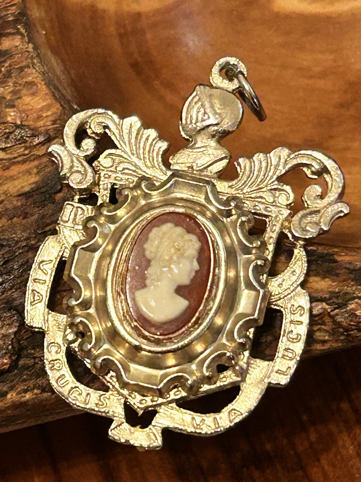 Vintage Gold Tone Cameo Pendant – Framed W Knight & Latin Phrases – Unique