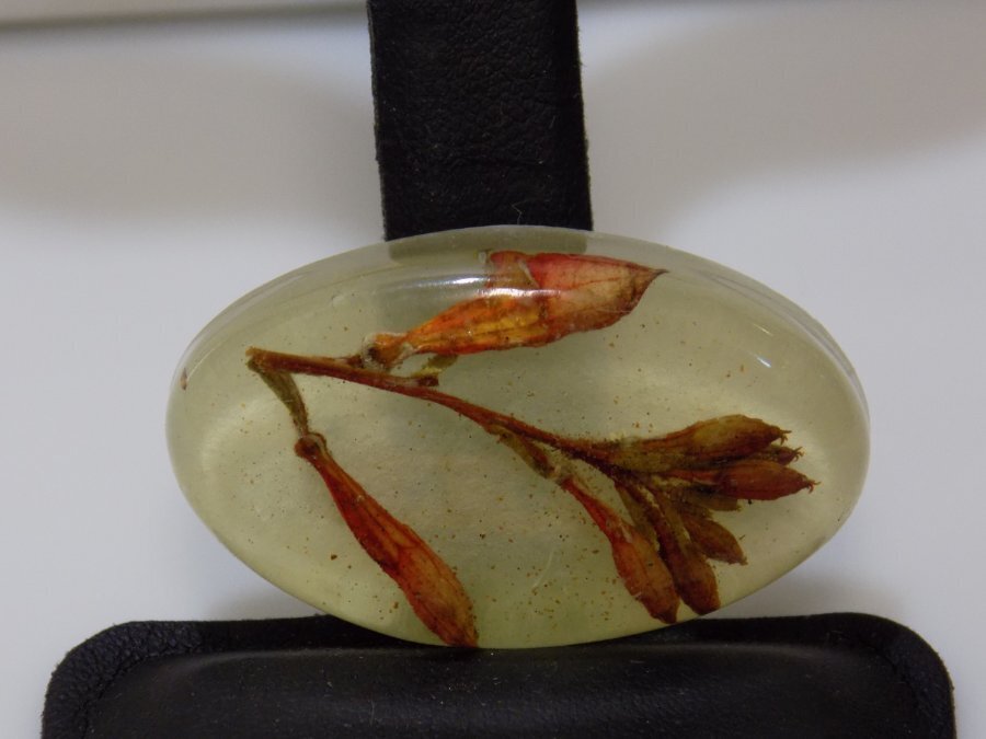 J60-VINTAGE PIN~OVAL~LOCALLY MADE~LUCITE/REAL PLANT~1.5″ X 1″