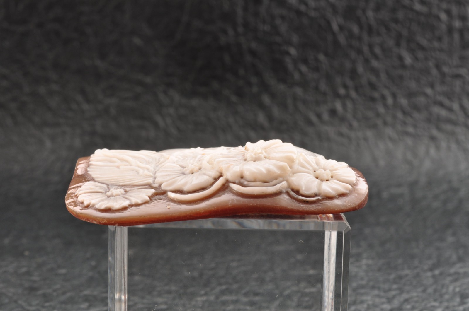 Vintage oval square shell cameo “Girls in Profile” (83.0ct) sign by artist box.