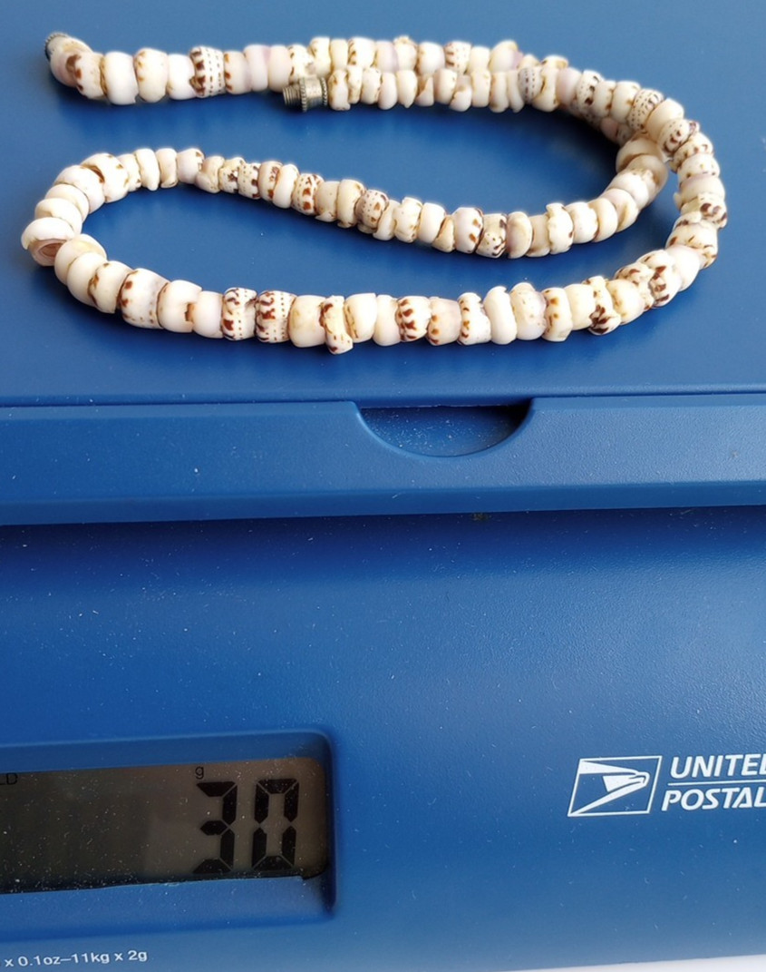 TIGER PUKA SHELL Necklace Vtg Hawaiian Barrel Clasp surfer 6-7mm, 16.75″, 30g