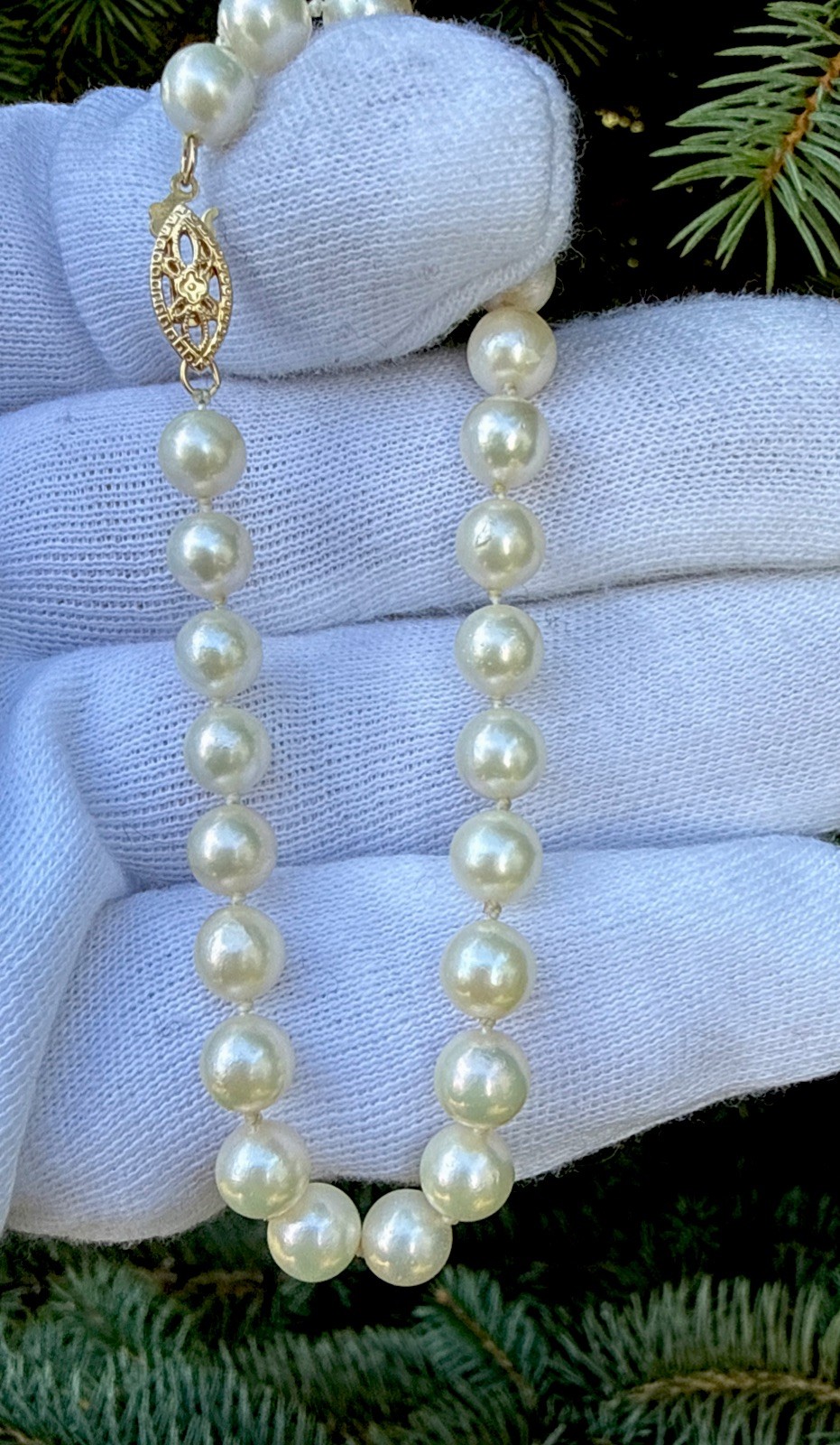 14K Solid Yellow Gold Clasp 6.4mm Beaded White round Pearl Bracelet -7.5”