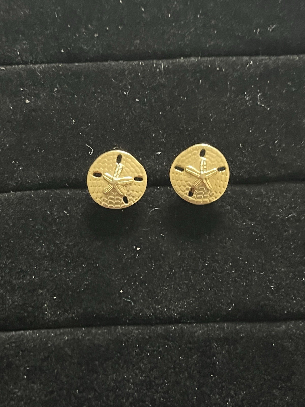 Beach Sand Dollar Gold Tone Star Stud Earrings Vintage Textured Shells Ocean