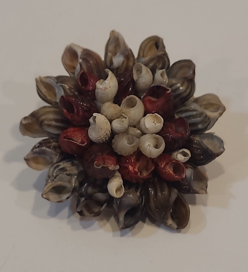 Beach Core Seashell Flower Pin Brooch Shell Petals VTG 1.75″ Handmade Folk Art