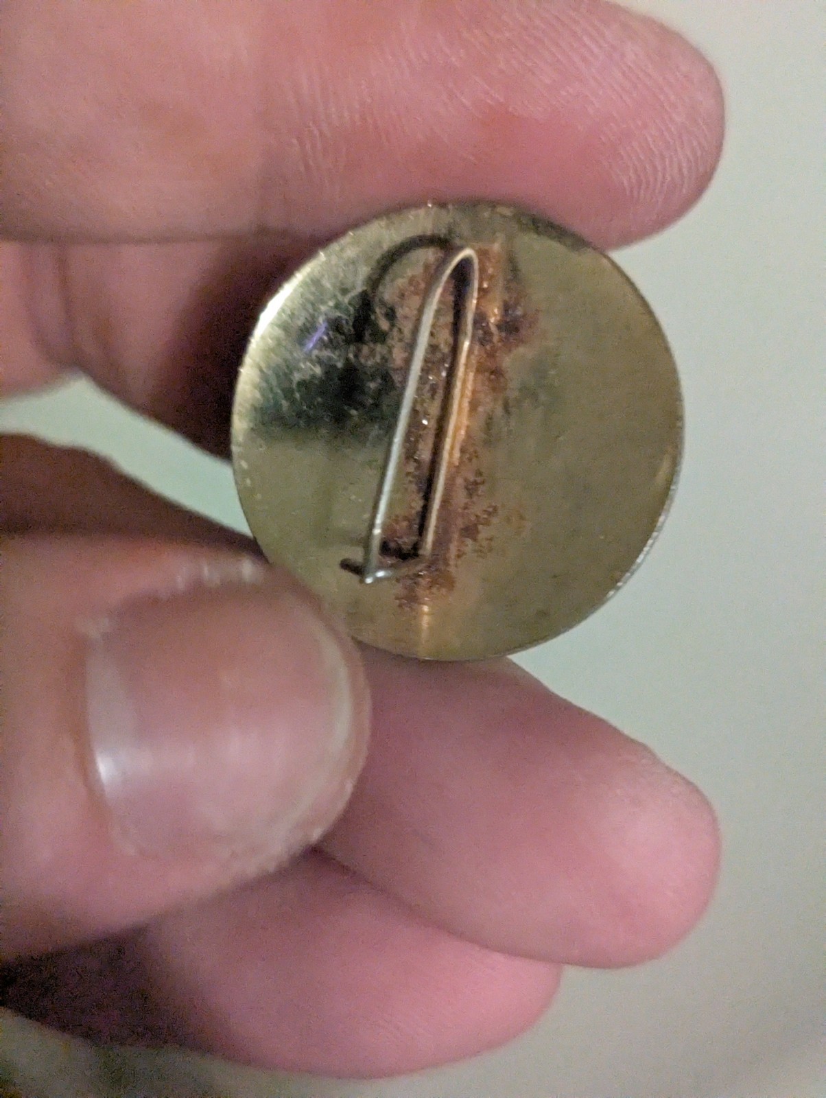 Bronze Colored Pin