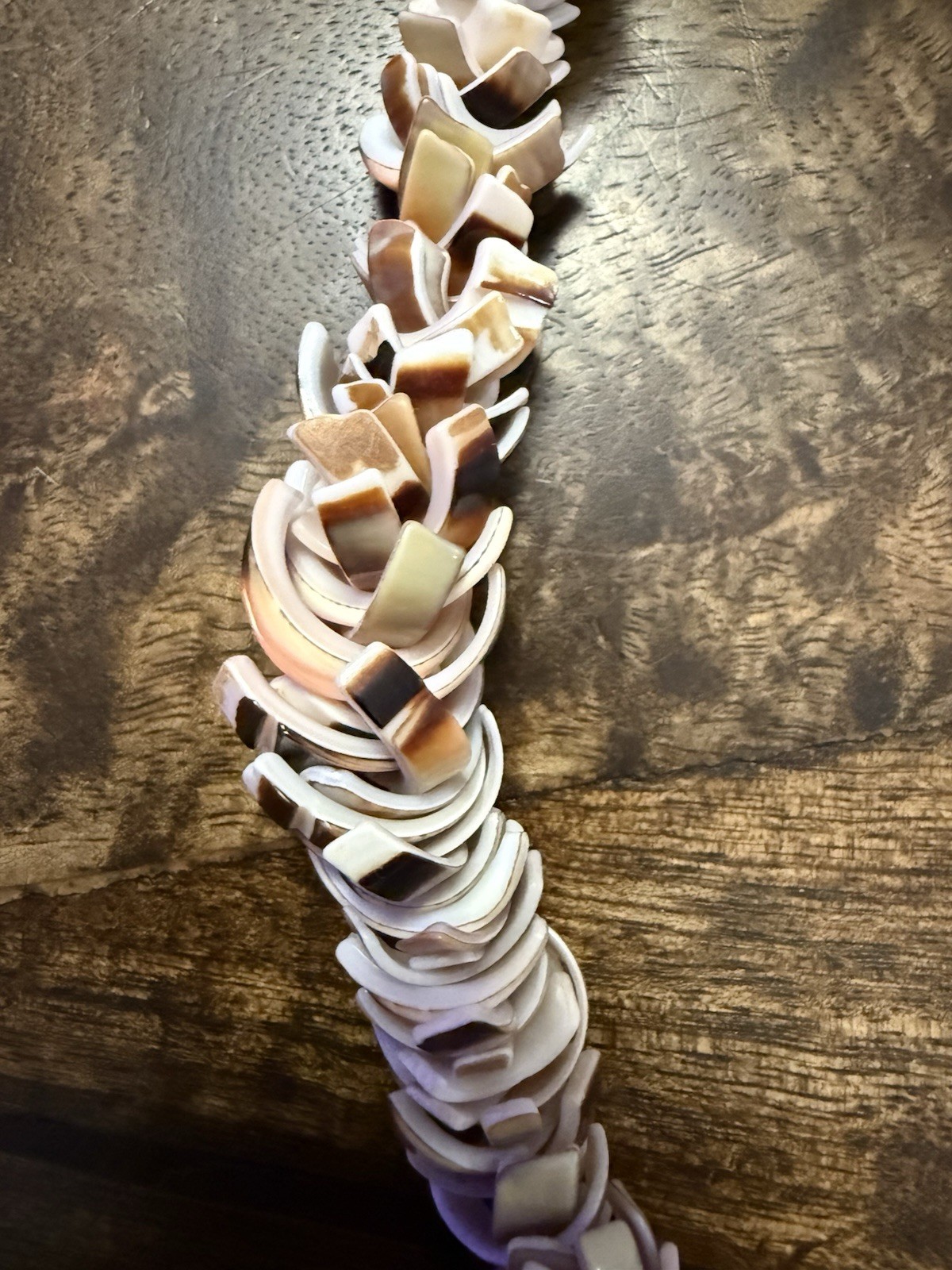 Striking Vintage Multicolor Shell Slice Hawaiian Necklace for Beach/Summer, 20”