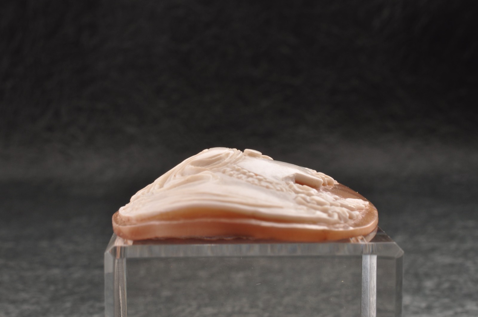 Vintage shell cameo, “The Girl with the Necklace” (60.0ct) sign by artist, Case.