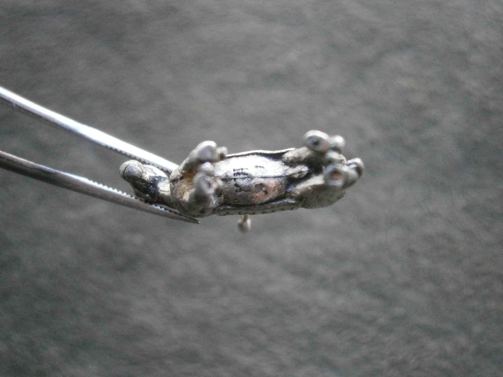 US Army Mule West Point Mascot Vintage Crest Craft Silvertone Charm Pendant 4.6g