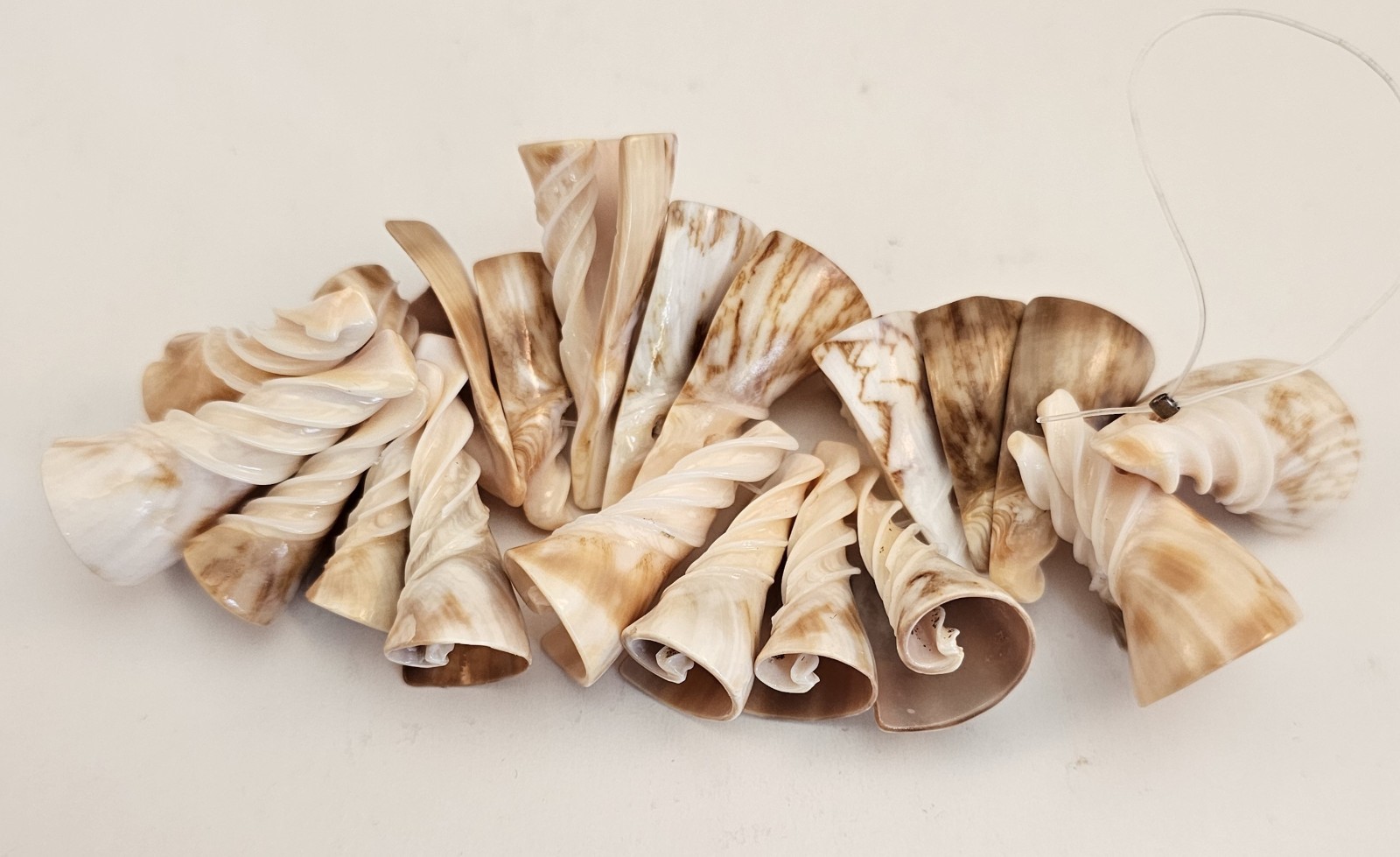 Strand of 20 – Vintage Gorgeous Conical Natural Shell Pendants – 1″ – 1 1/2″