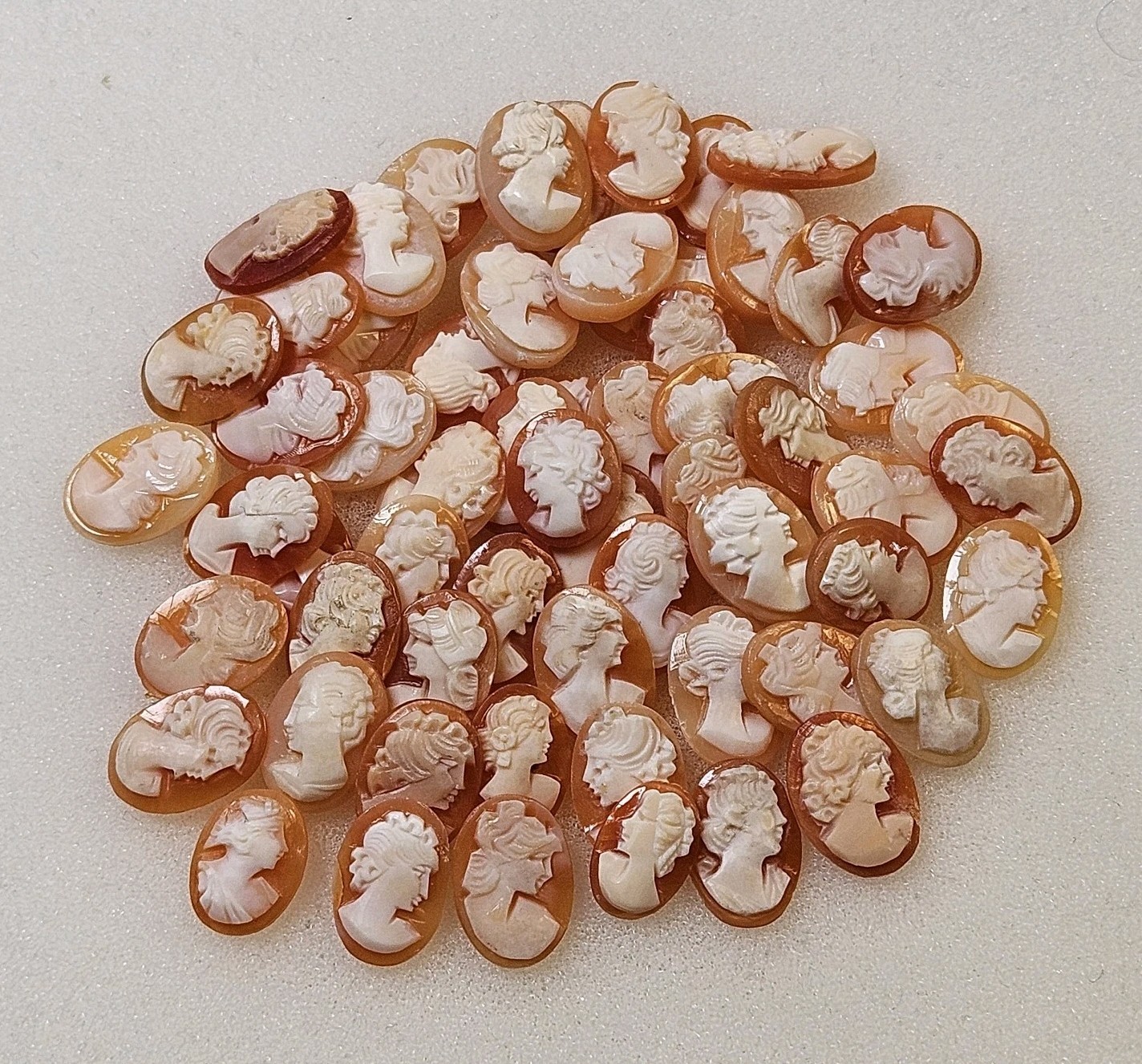 Lot Of 5 Genuine Natural Carved Shell Cameos Conch Shellnew Old Stock Unmounted