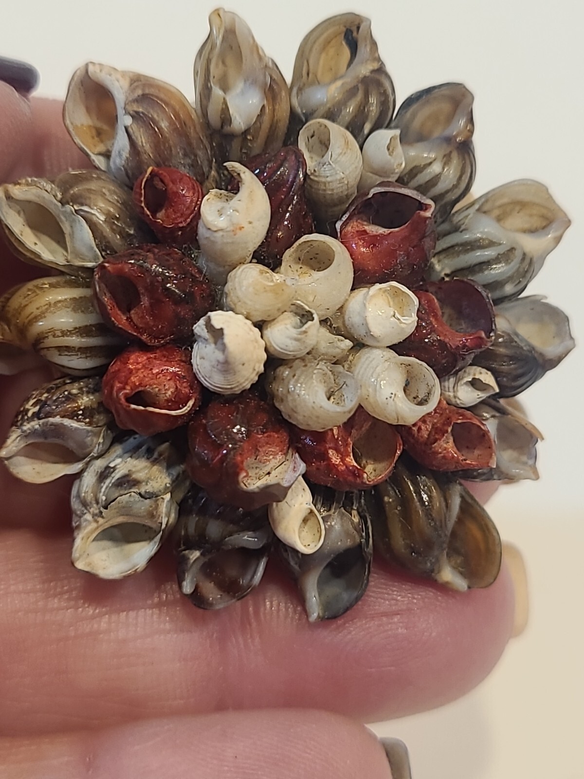Beach Core Seashell Flower Pin Brooch Shell Petals VTG 1.75″ Handmade Folk Art