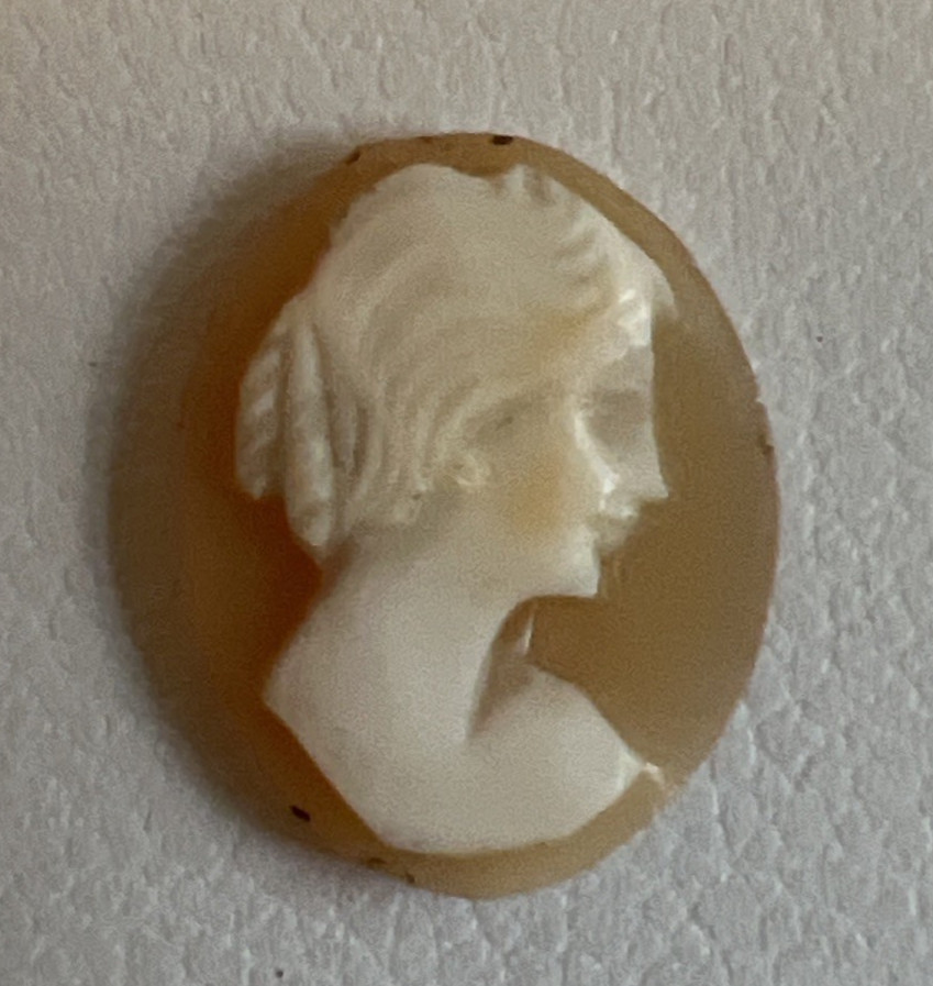 5 Antique Carved Shell Cameos Female Profile Unset
