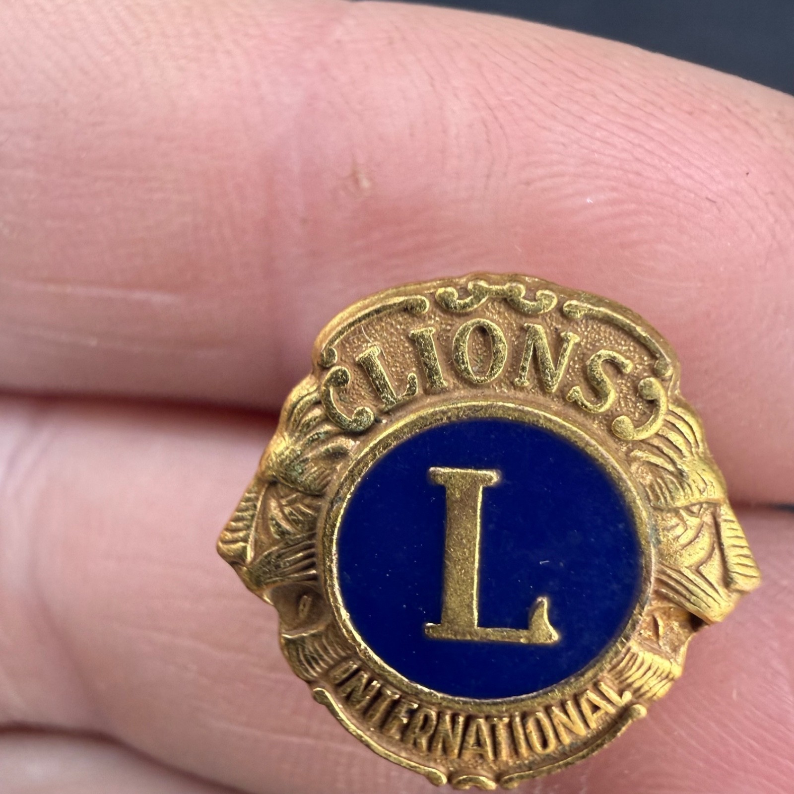 Vintage Lions Pin