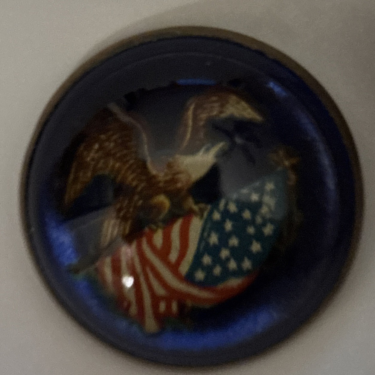 Vintage Glass Dome Brass Rosette U.S. Patriotic Eagle Brooch Unusual Clasp