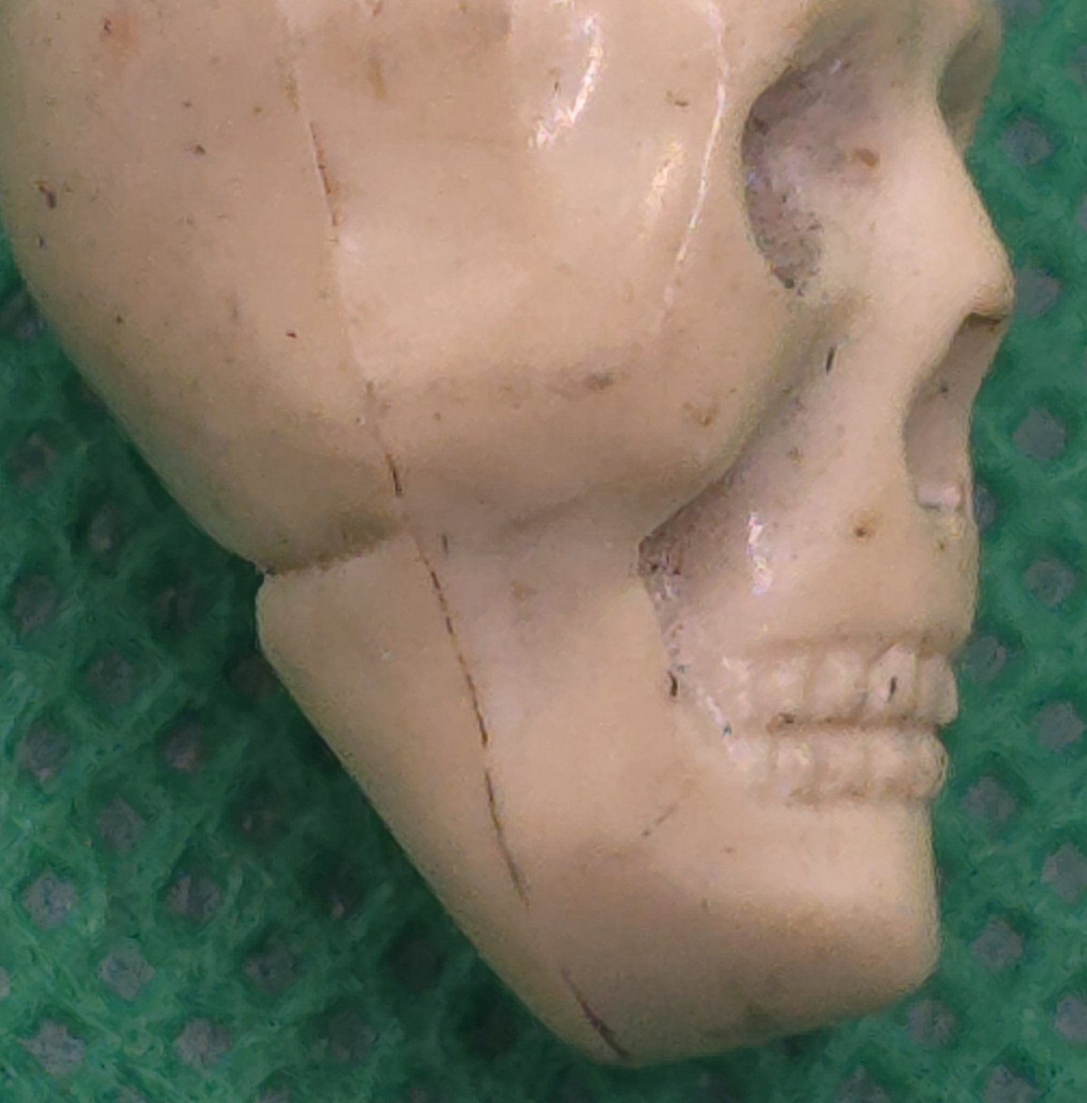 Antique Victorian Celluloid Skull Charm Mourning Pendant Memento Mori 1″