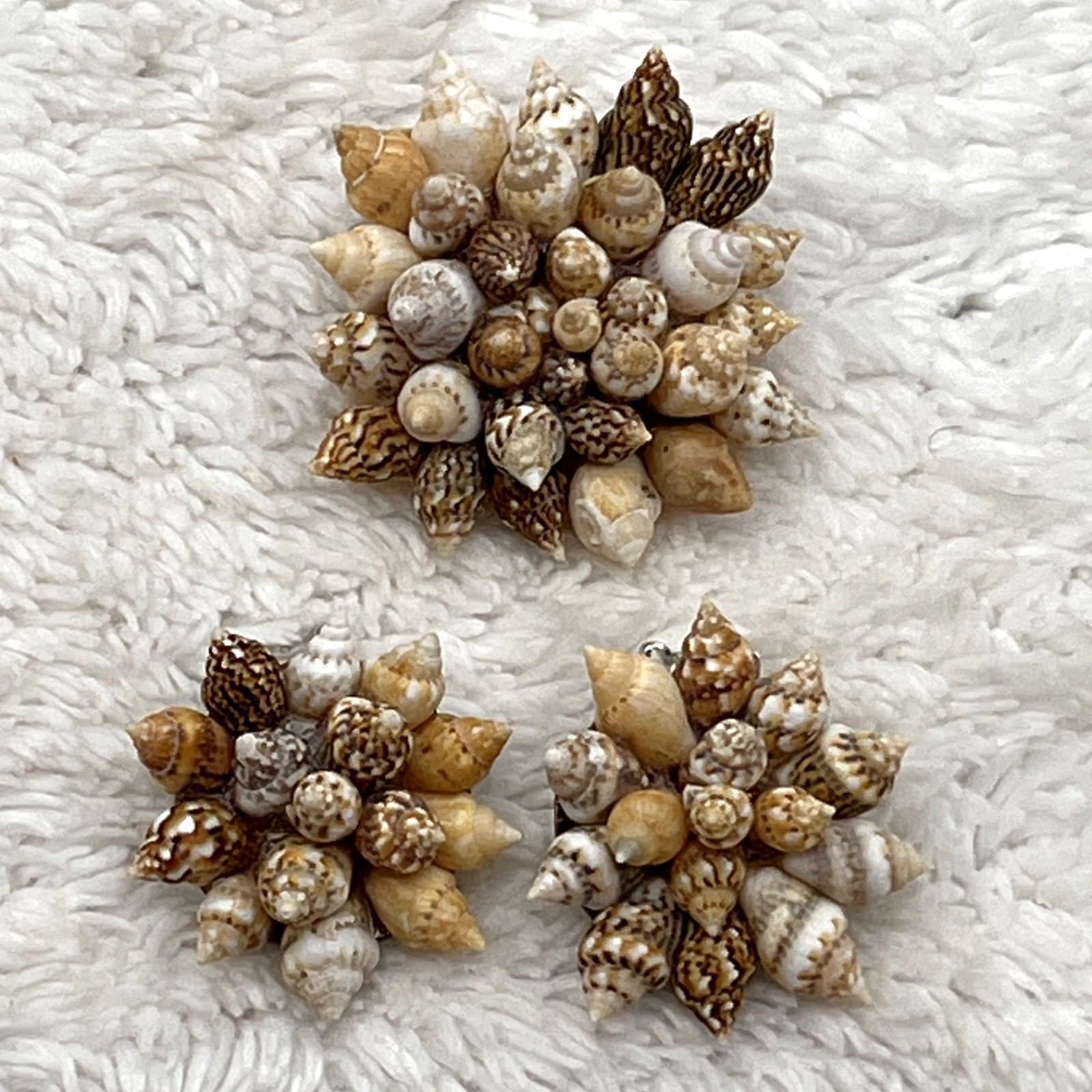 Vintage Sea Shell Jewelry Set Brooch Clip On Earrings Beach Mermaid