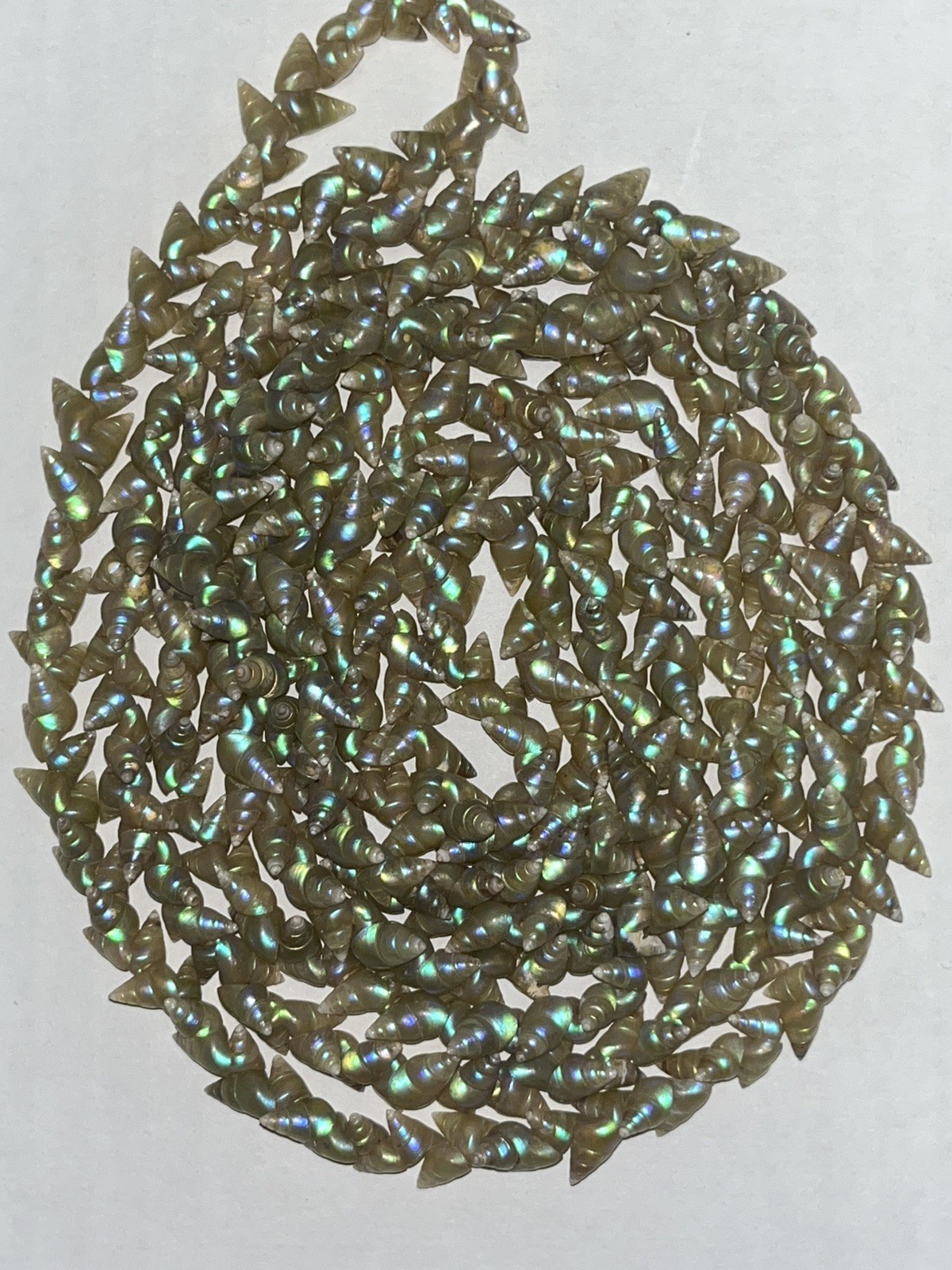 Vintage Tasmanian Maireener shell necklace features rare, iridescent shells 70”