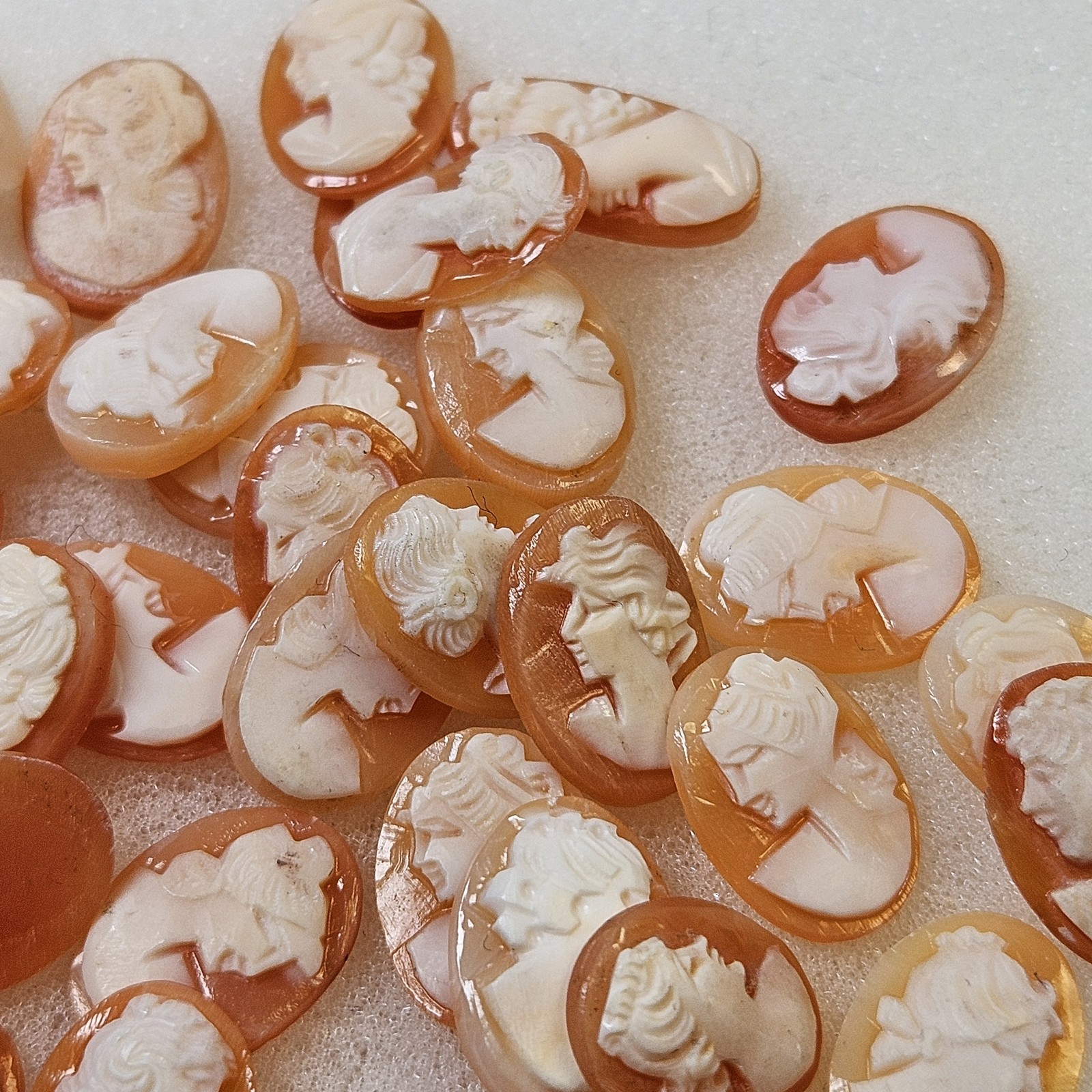 Lot Of 5 Genuine Natural Carved Shell Cameos Conch Shellnew Old Stock Unmounted