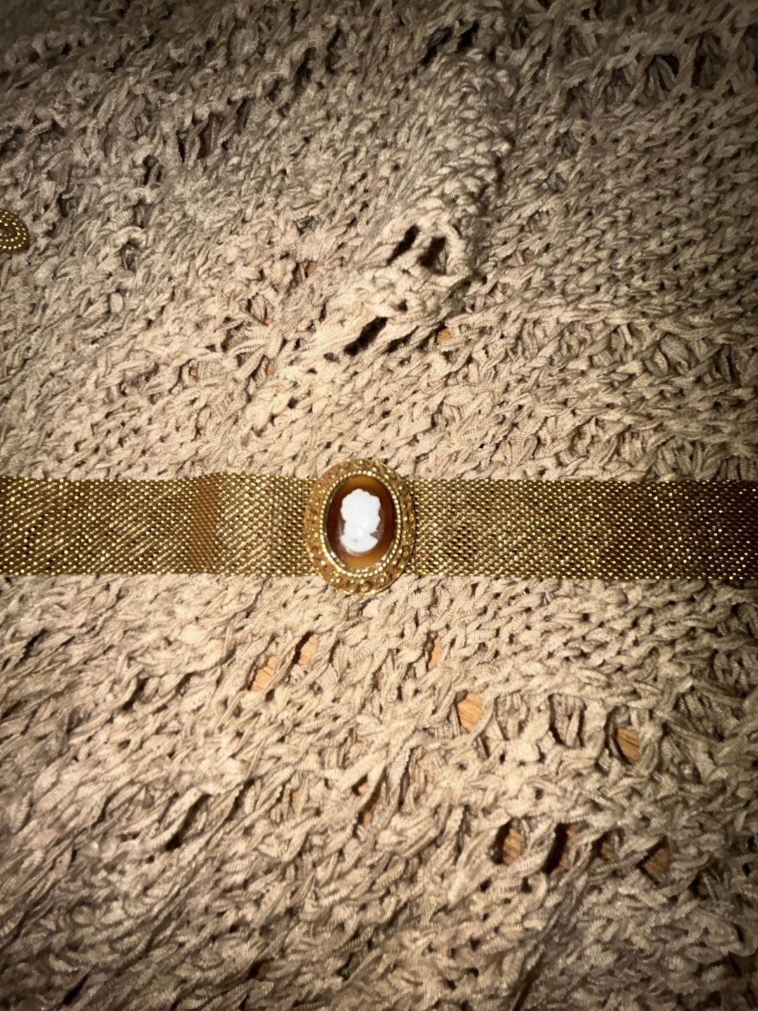 Vintage Gold Tone Mesh Choker Necklace with Oval Cameo Centerpiece