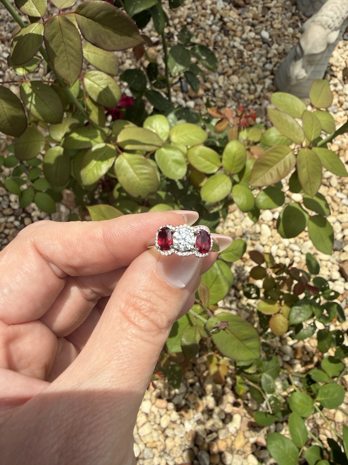 Natural Ruby & Diamond Three-Stone Ring | 14K White Gold | Halo Setting