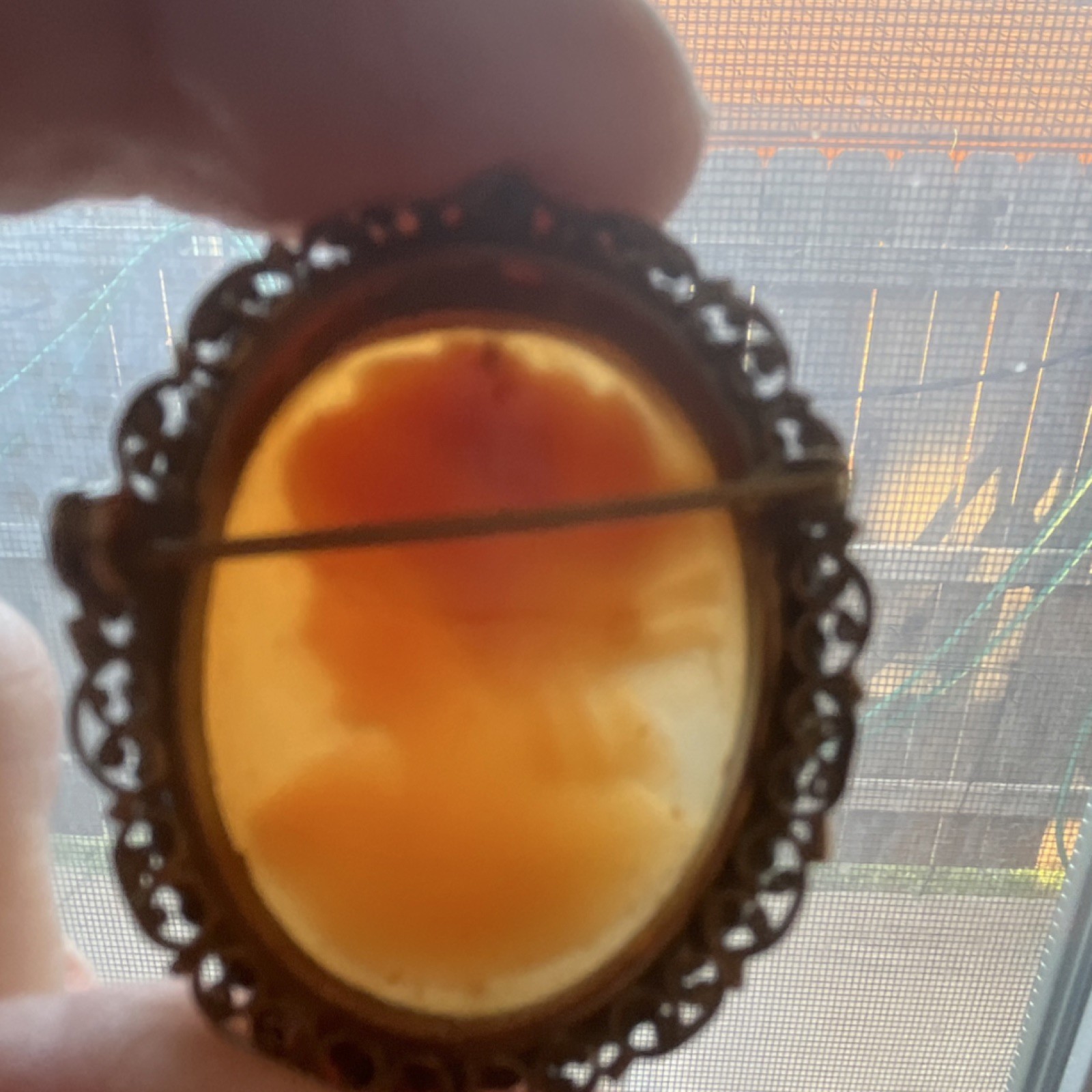 Vintage Hand craved Shell Cameo Brooch and Pin combo with filigree frame