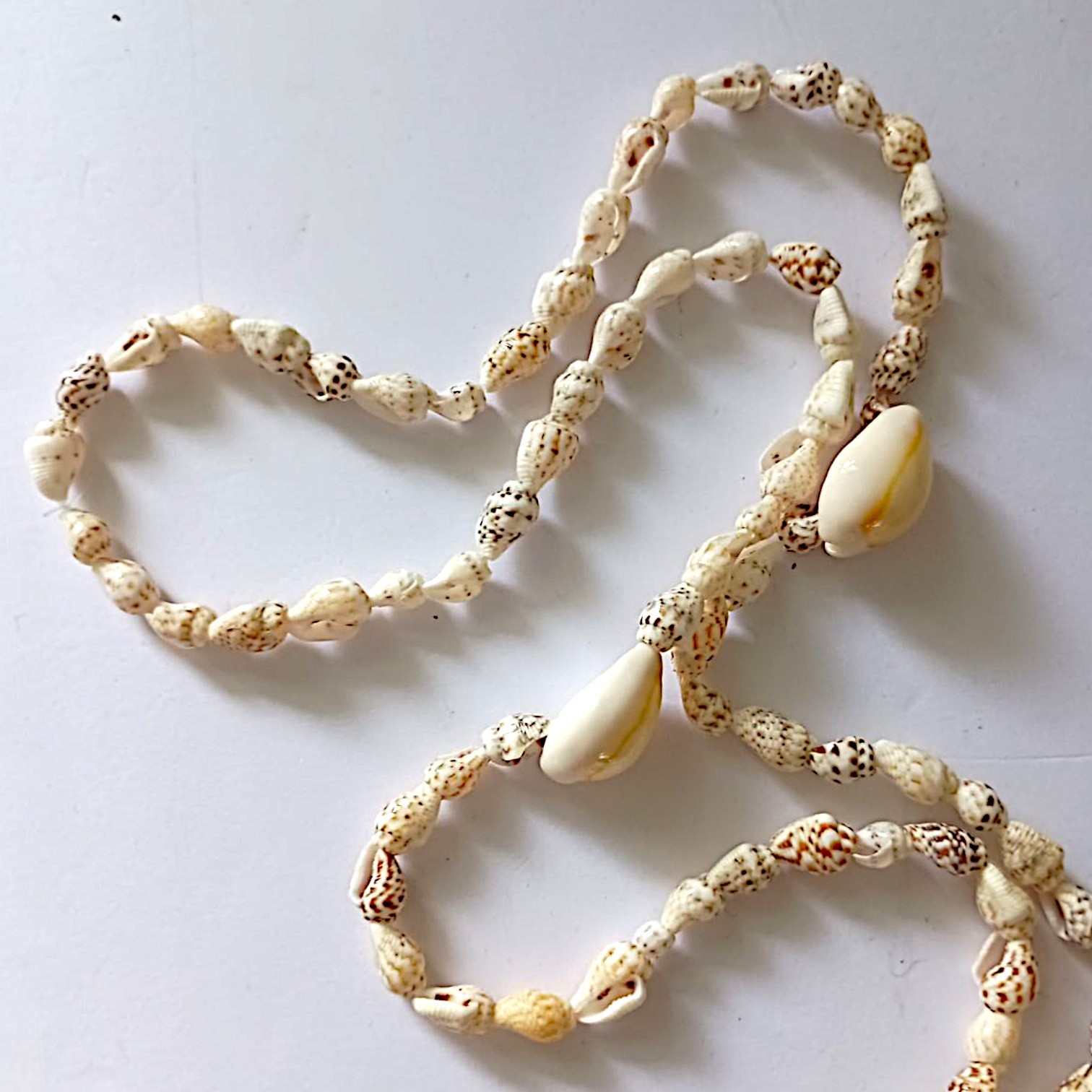 Vintage Cowrie Momi Shell Necklace Strand Hawaiian Lei Beachy Coastal Tropical
