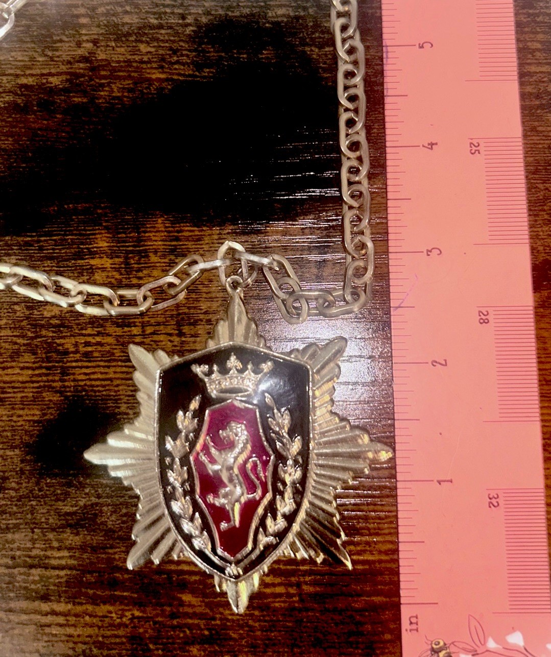 Vintage Crest Shield Lion Pendant Chain Necklace With Red Enamel Accent
