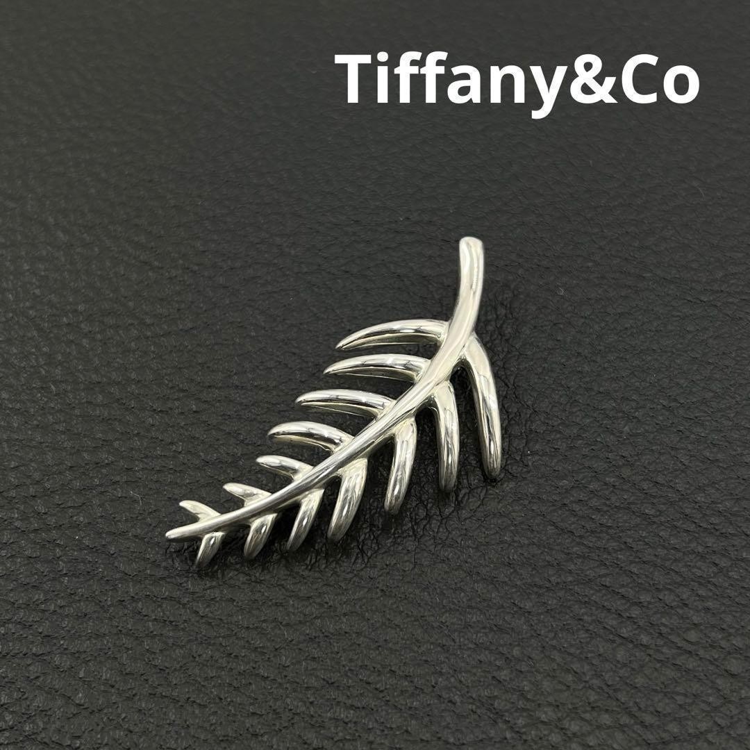 Tiffany & Co. Leaf Vintage 1996 Brooch Silver 925 Unisex Pre-Owned