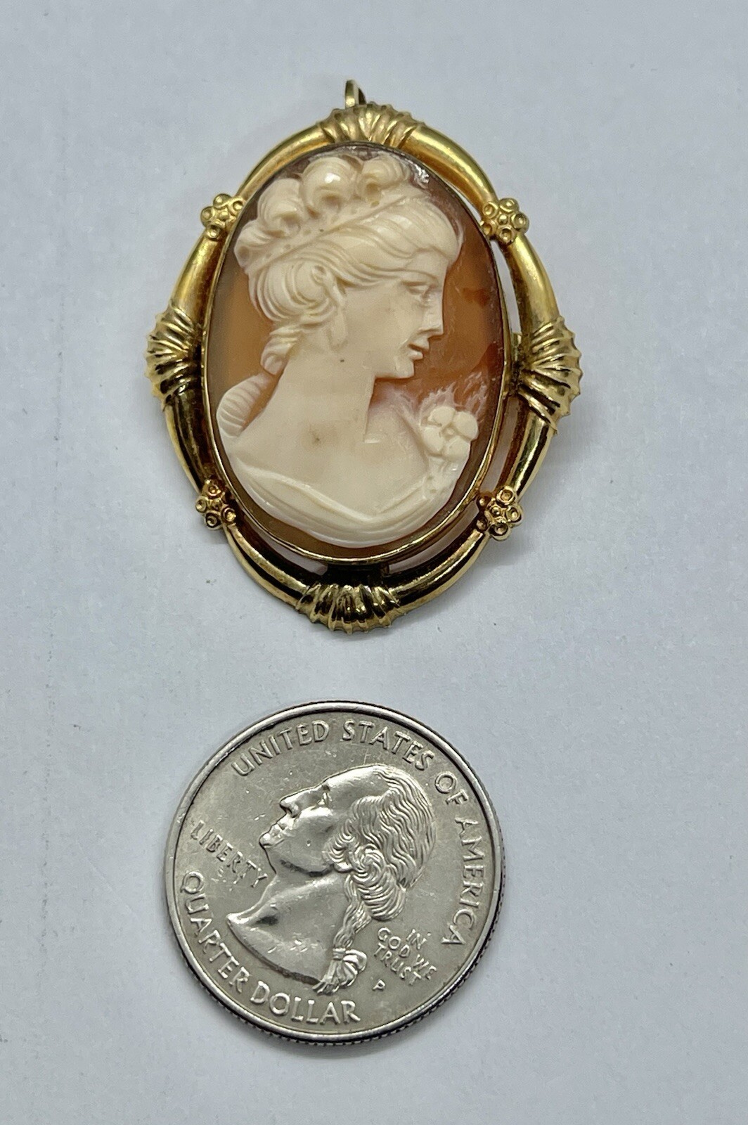 Vintage Gold Filled Carved Shell Lady CAMEO Left Facing Ornate Frame Brooch