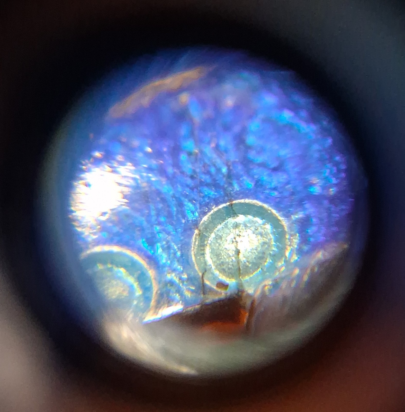 Antique Guilloche Enamel Bluebird Pin Brooch Slight Damage See Pics/Description