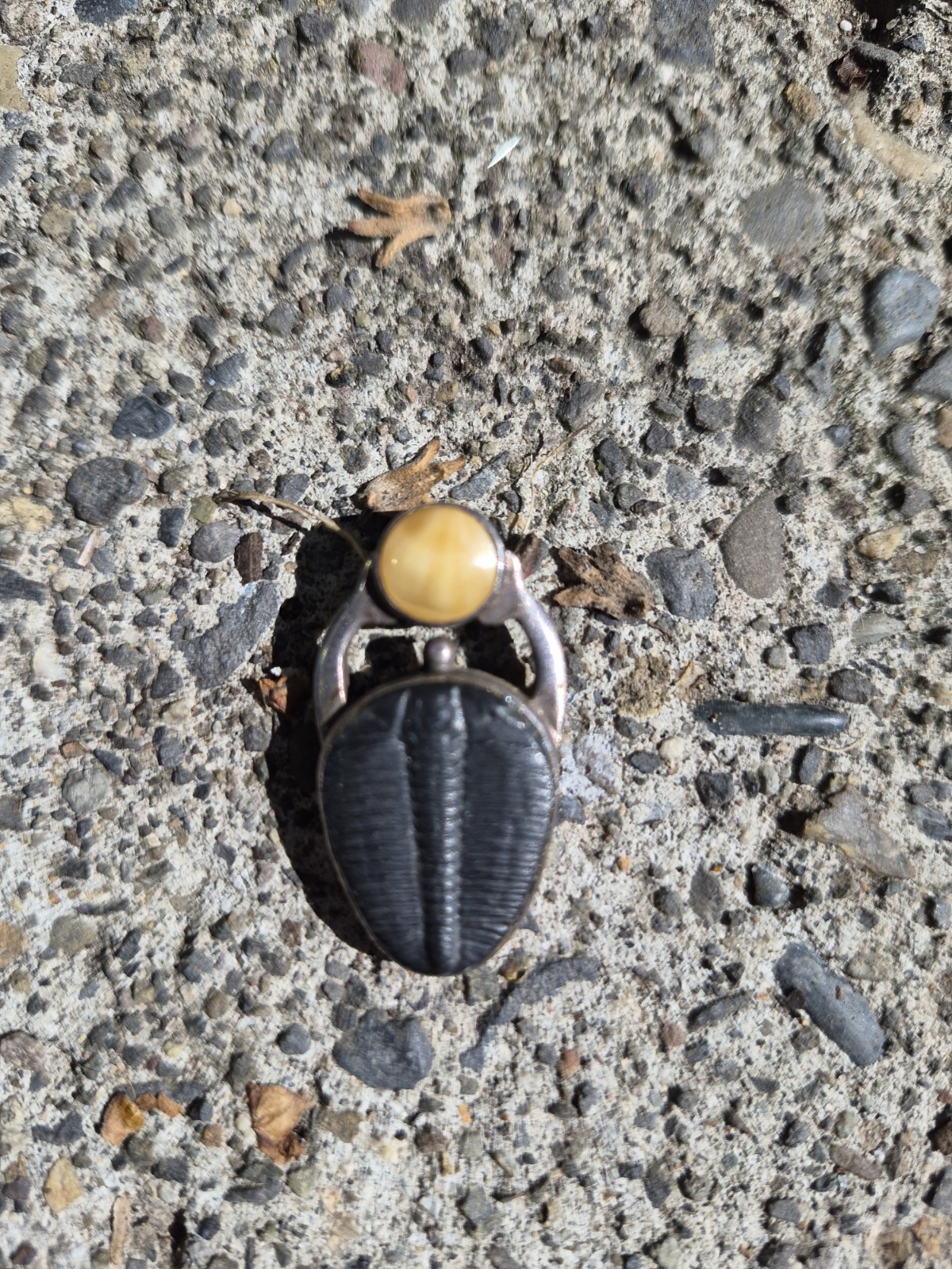 Vintage Trilobite/Amber Pendant Set In Sterling Silver.