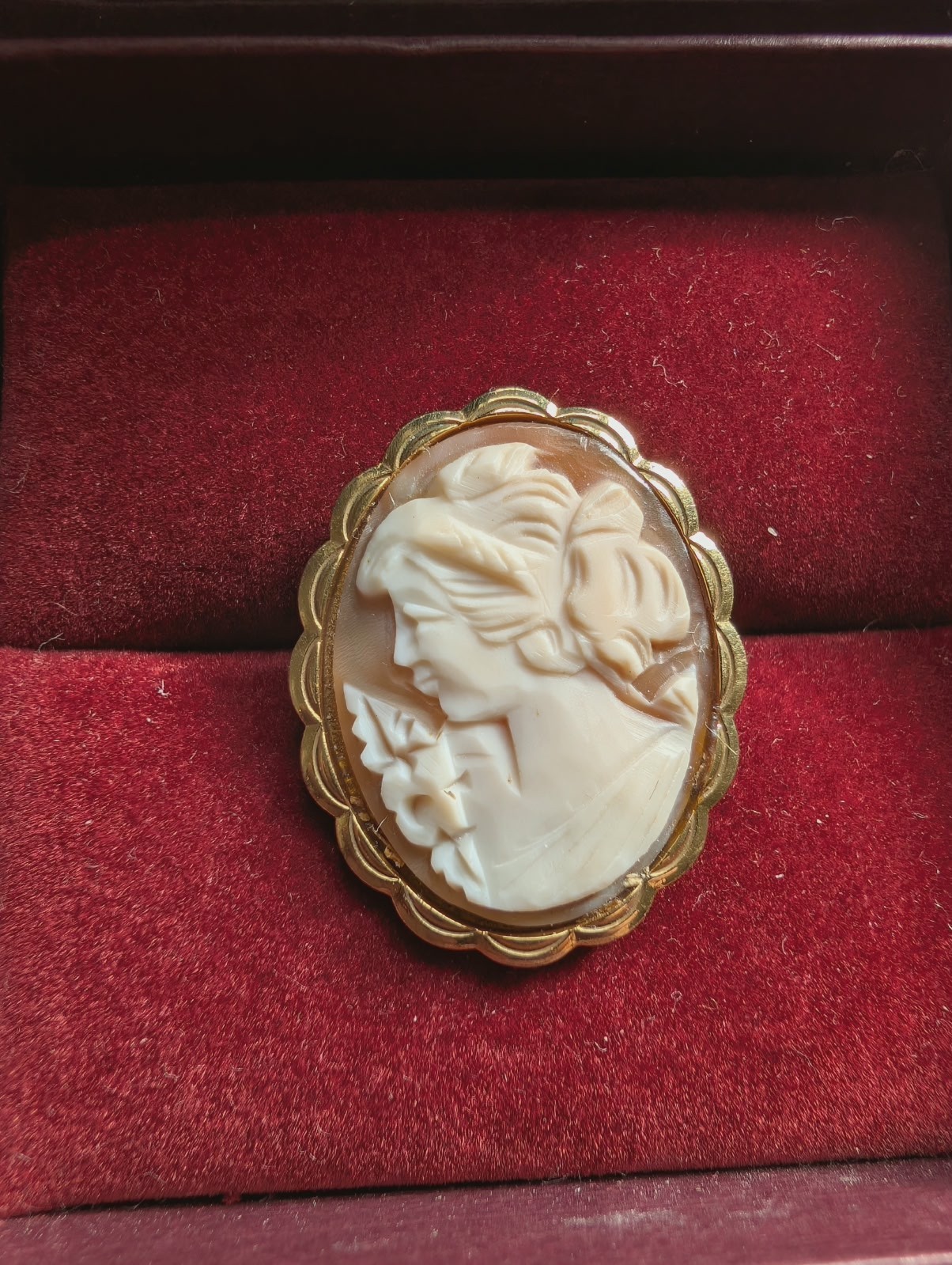 Vintage Hand Carved Shell Cameo Rolled Gold A&D Stamped Left Facing Germany