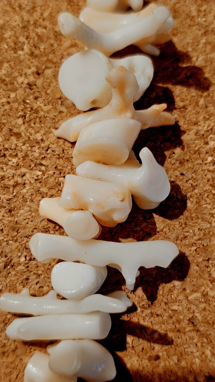 Vintage Natural Coral Necklace Angel Skin Salmon Bead White Branch EUC