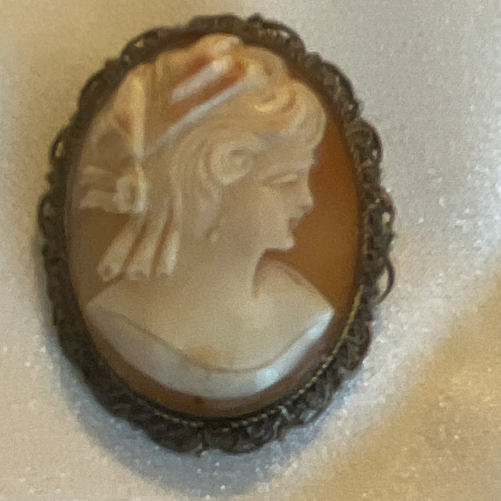 Vintage Hand craved Shell Cameo Brooch and Pin combo with filigree frame