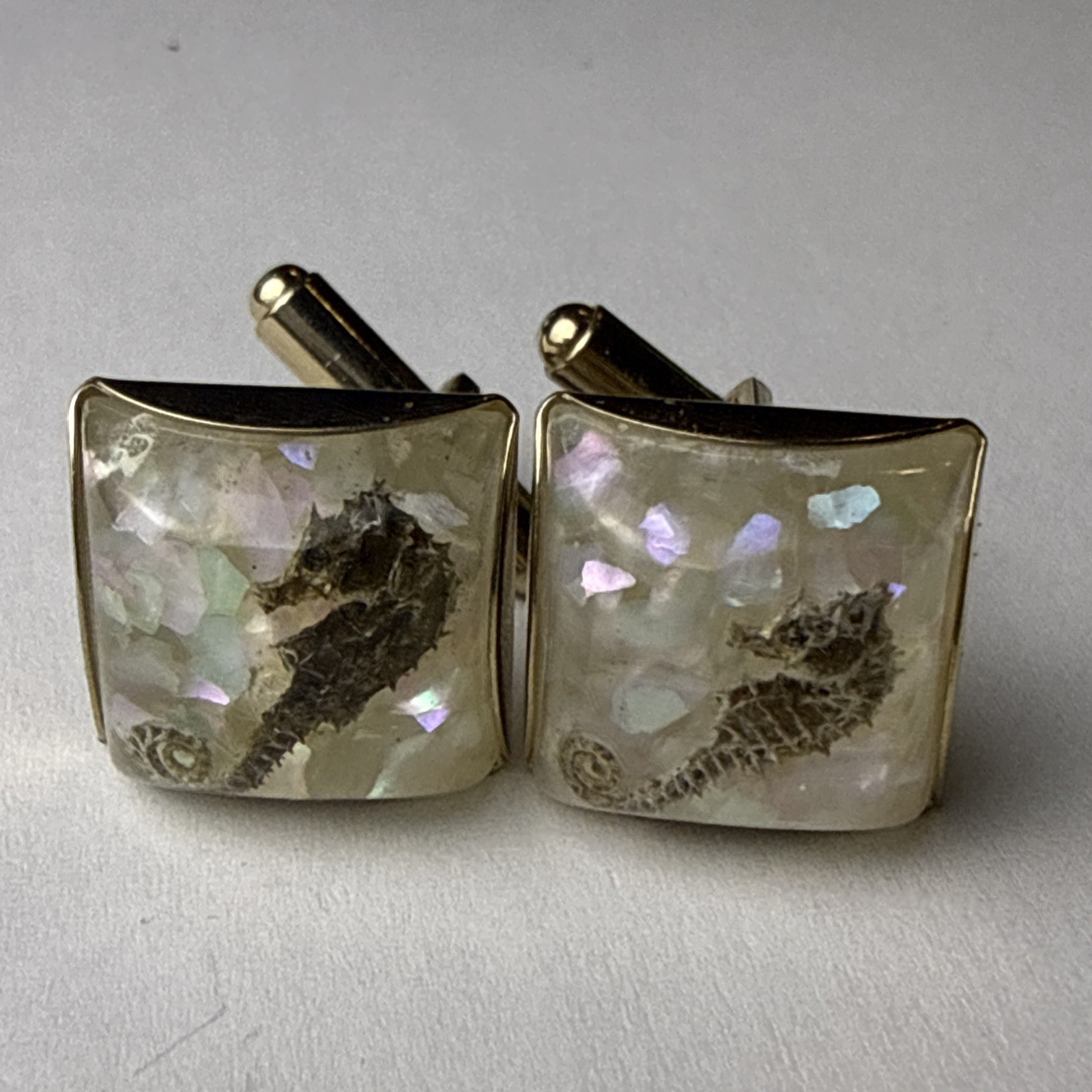 Rare 1960s Genuine Seahorse Confetti Lucite Domed Cuff Links-aquatic Sea Life