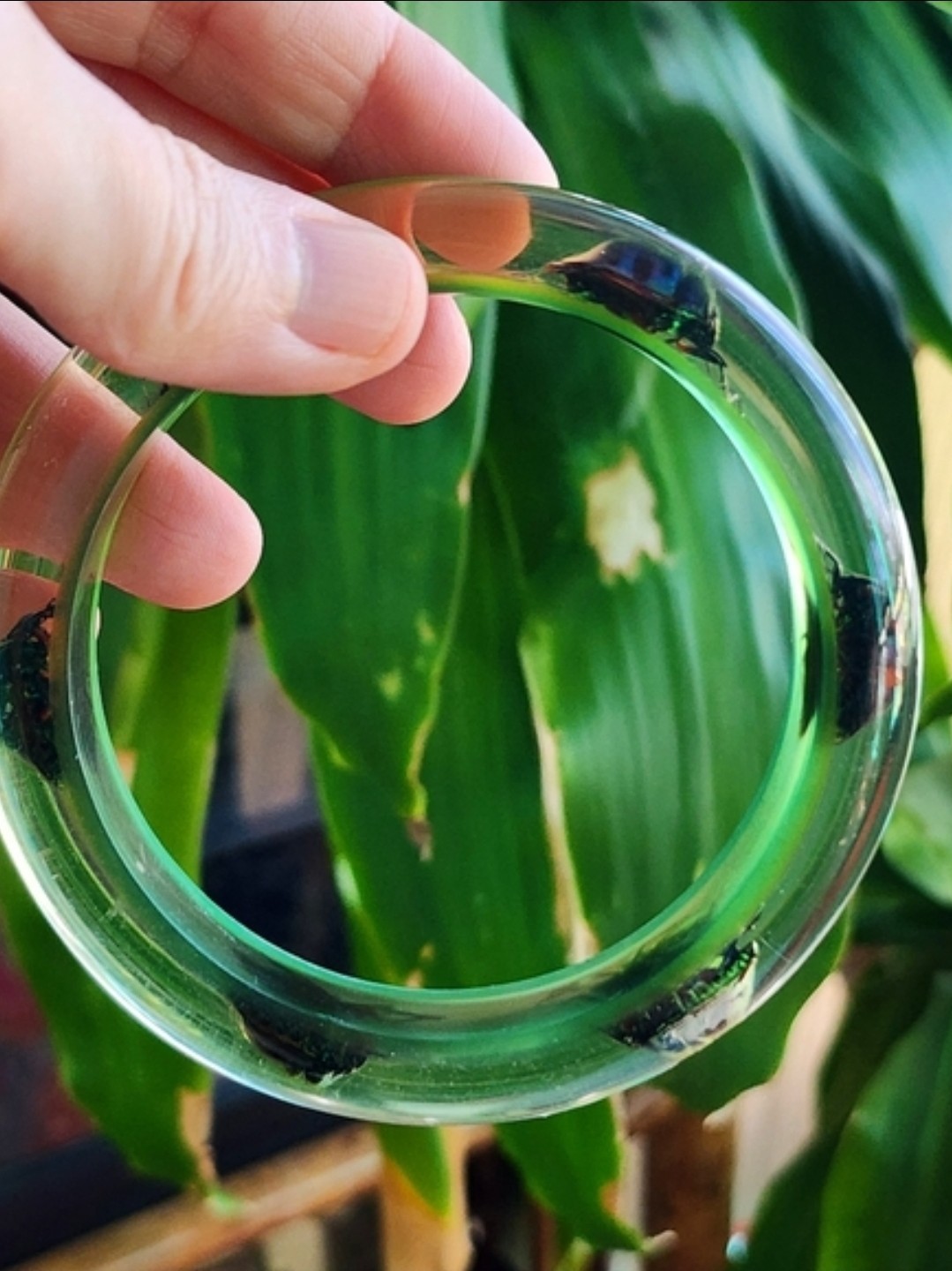Vintage Green Juice Lucite Beetle Bangle
