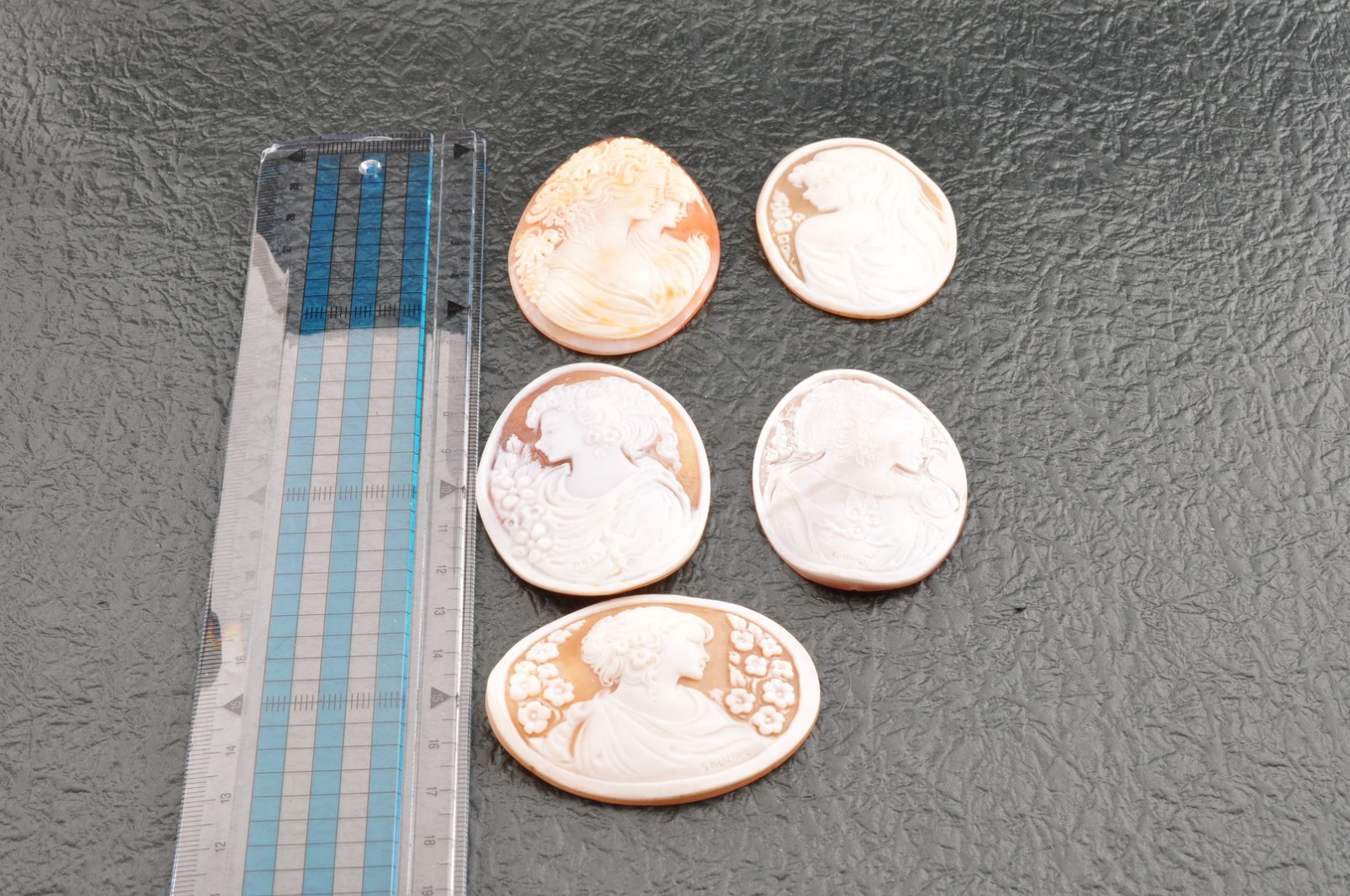 5 items , vintage shell cameo White and brown color (Total 327.0ct) with case.