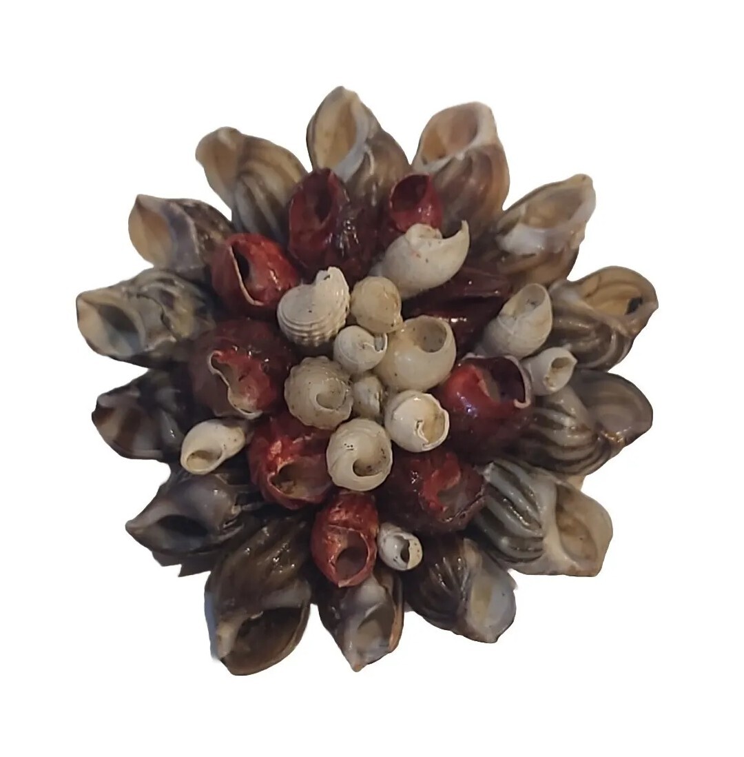 Beach Core Seashell Flower Pin Brooch Shell Petals VTG 1.75″ Handmade Folk Art