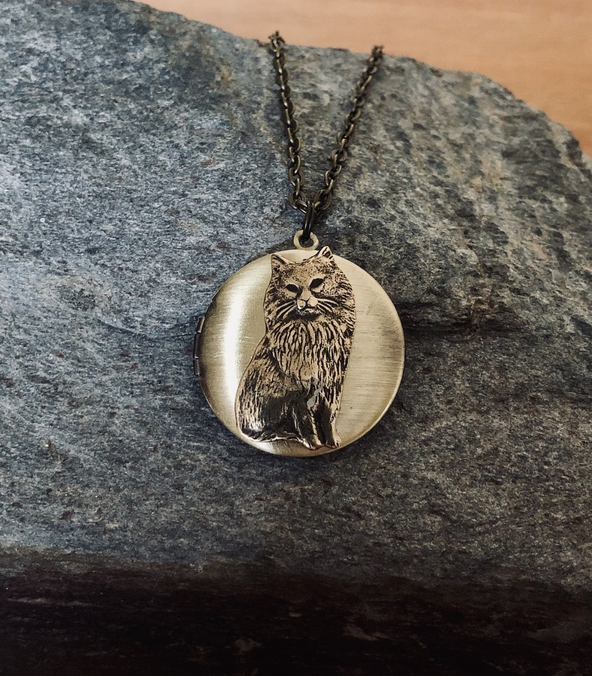 Vtg Cat Locket Necklace, Antique Brass, Photos, Ashes, Memorial Keepsake Pendant