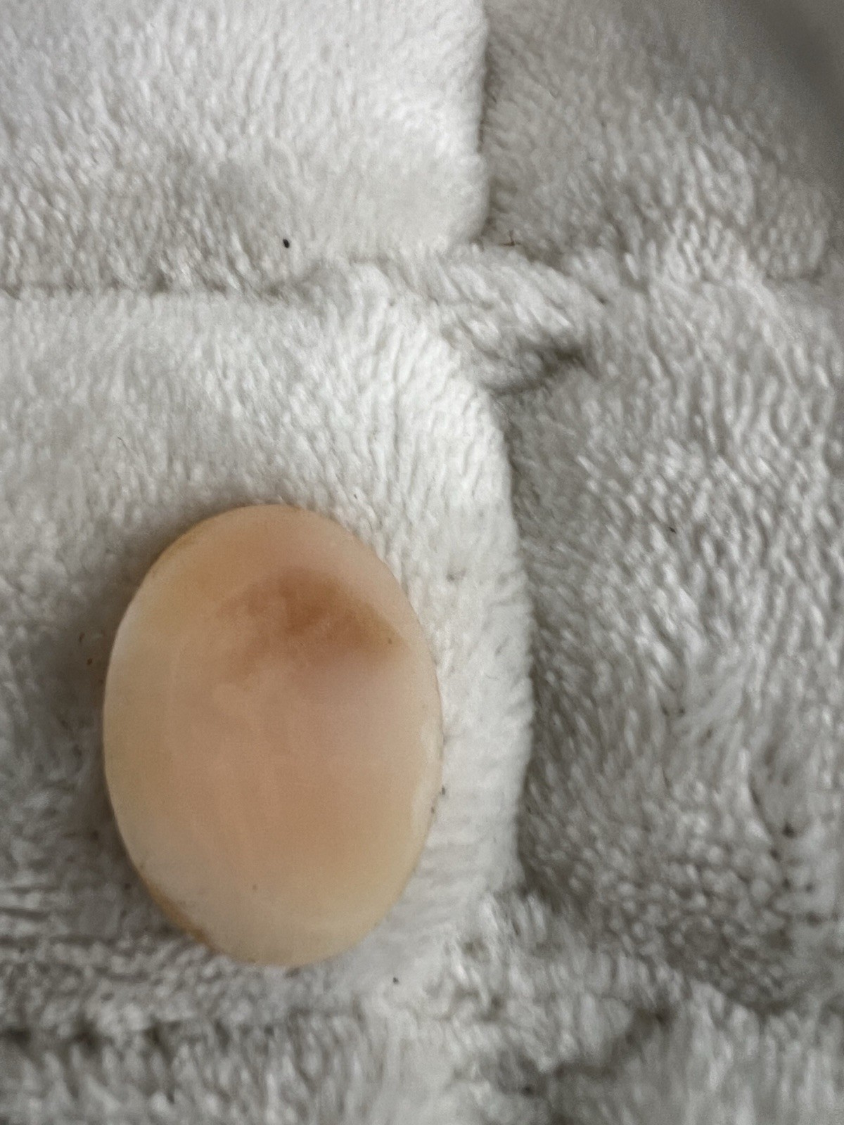 vintage unmounted oval Profile cameo features a hand-carved shell