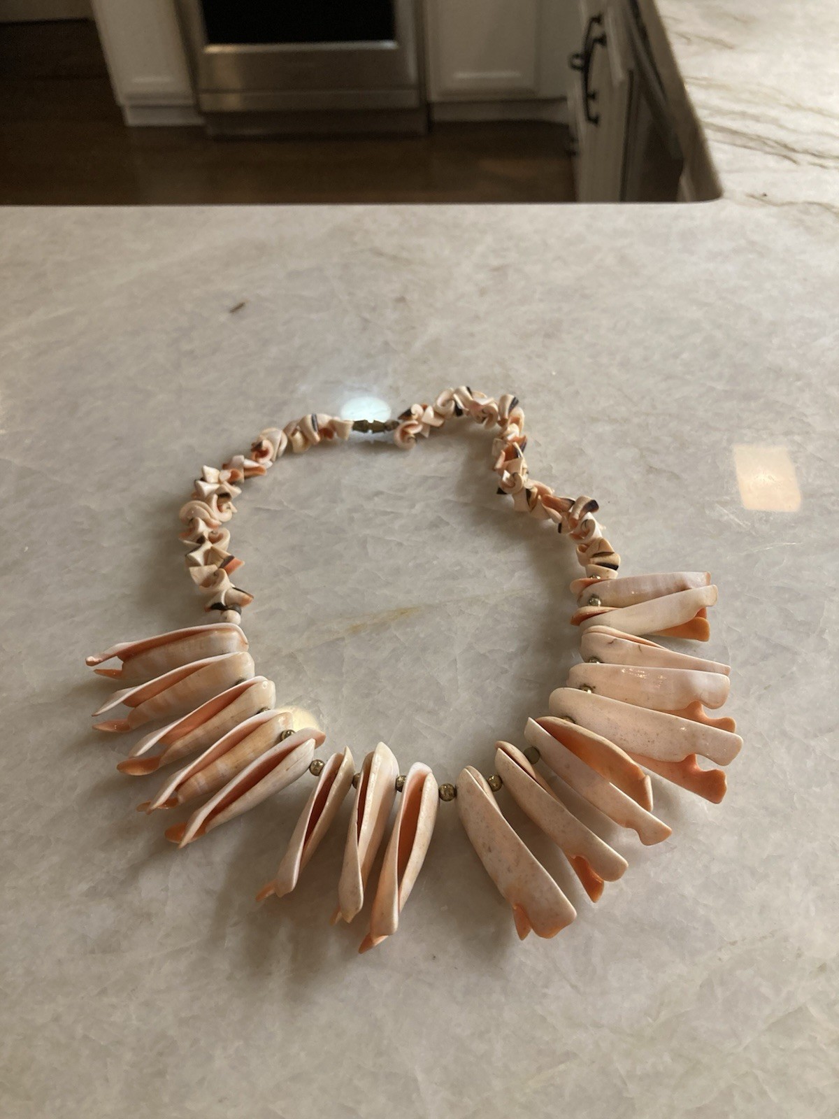 Unique Vintage Seashell Necklace