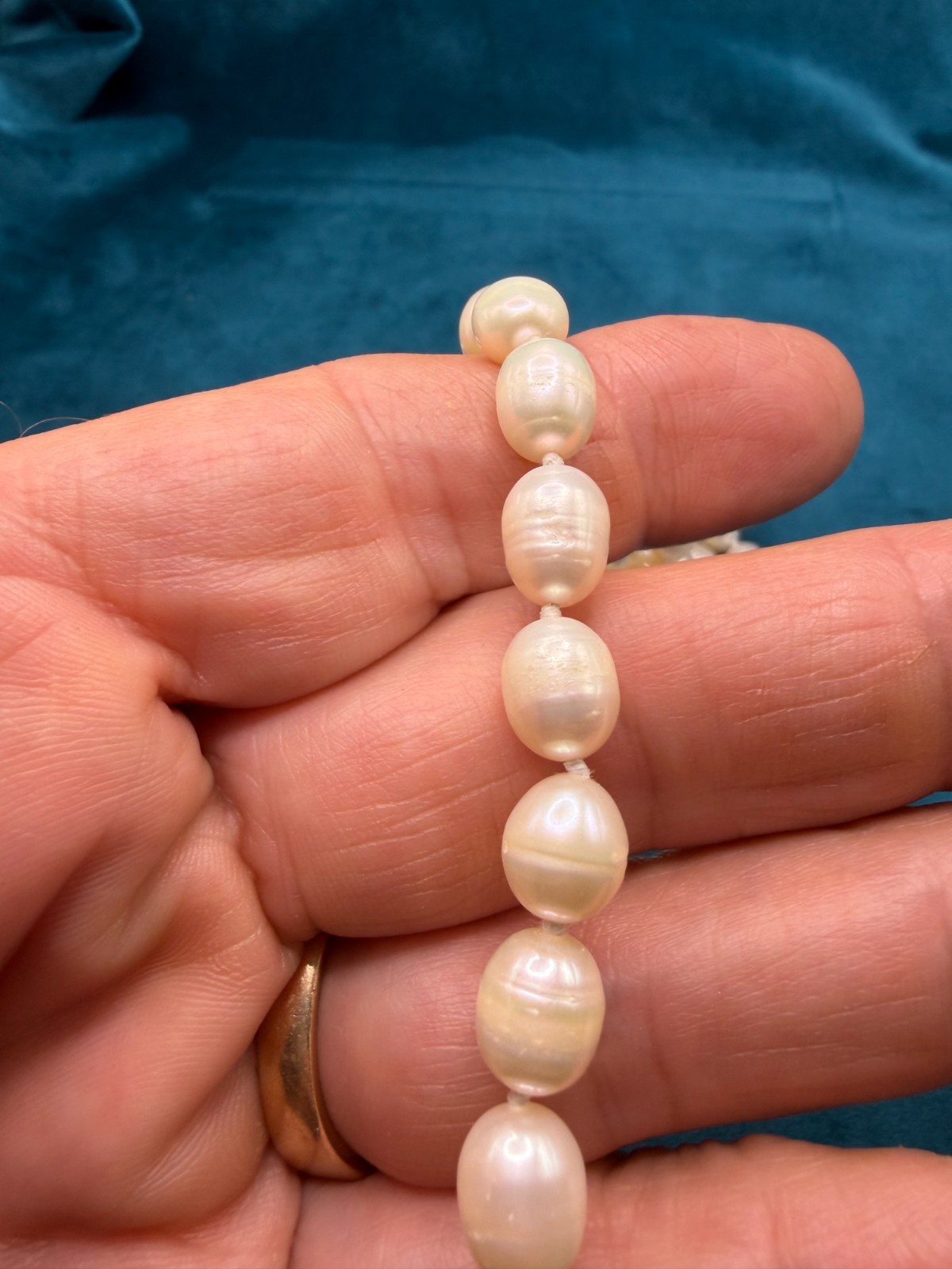 Fresh Water Baroque Pearl Necklace Extra Long Single Strand Hand Knotted 62″