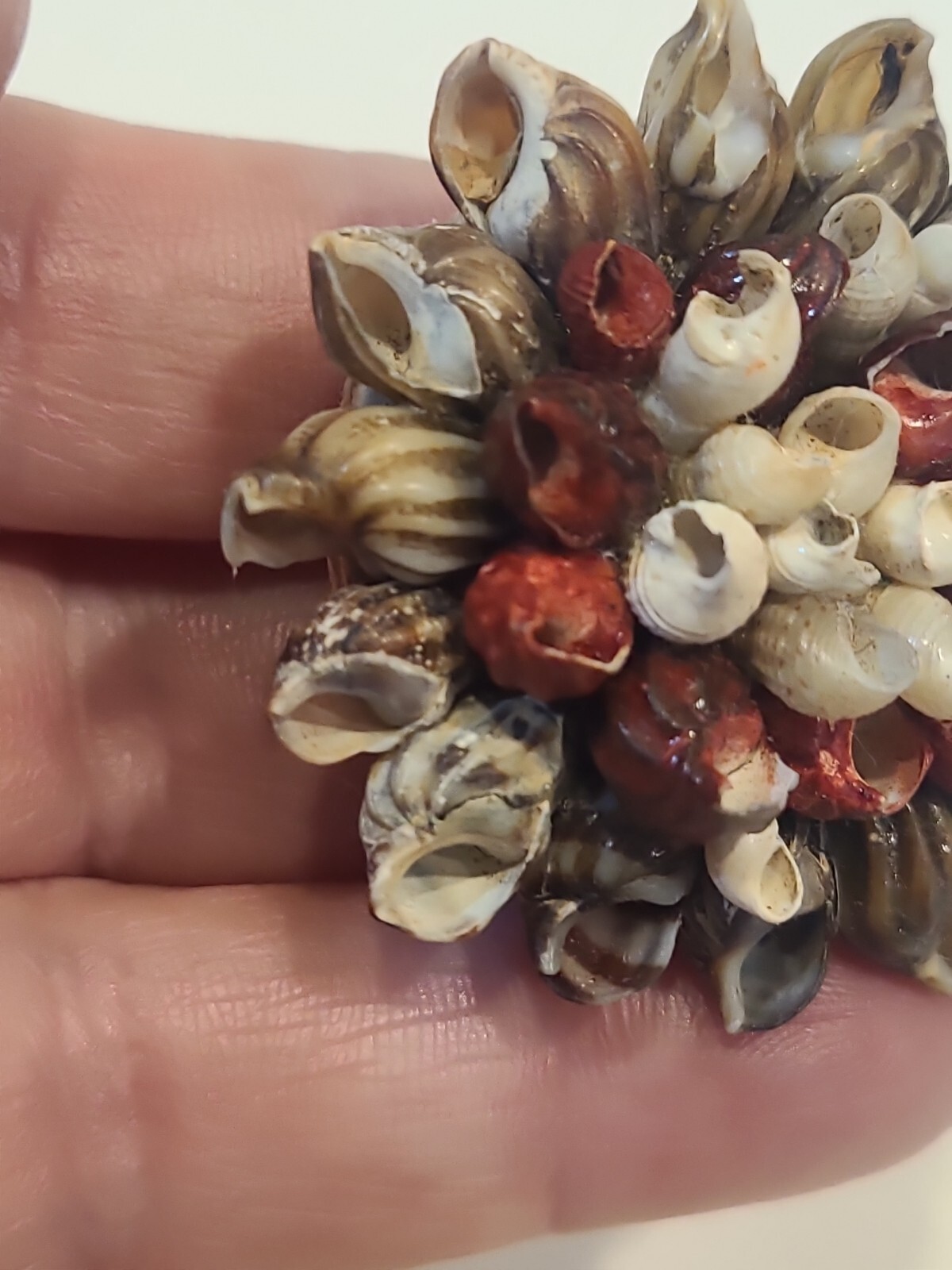 Beach Core Seashell Flower Pin Brooch Shell Petals VTG 1.75″ Handmade Folk Art