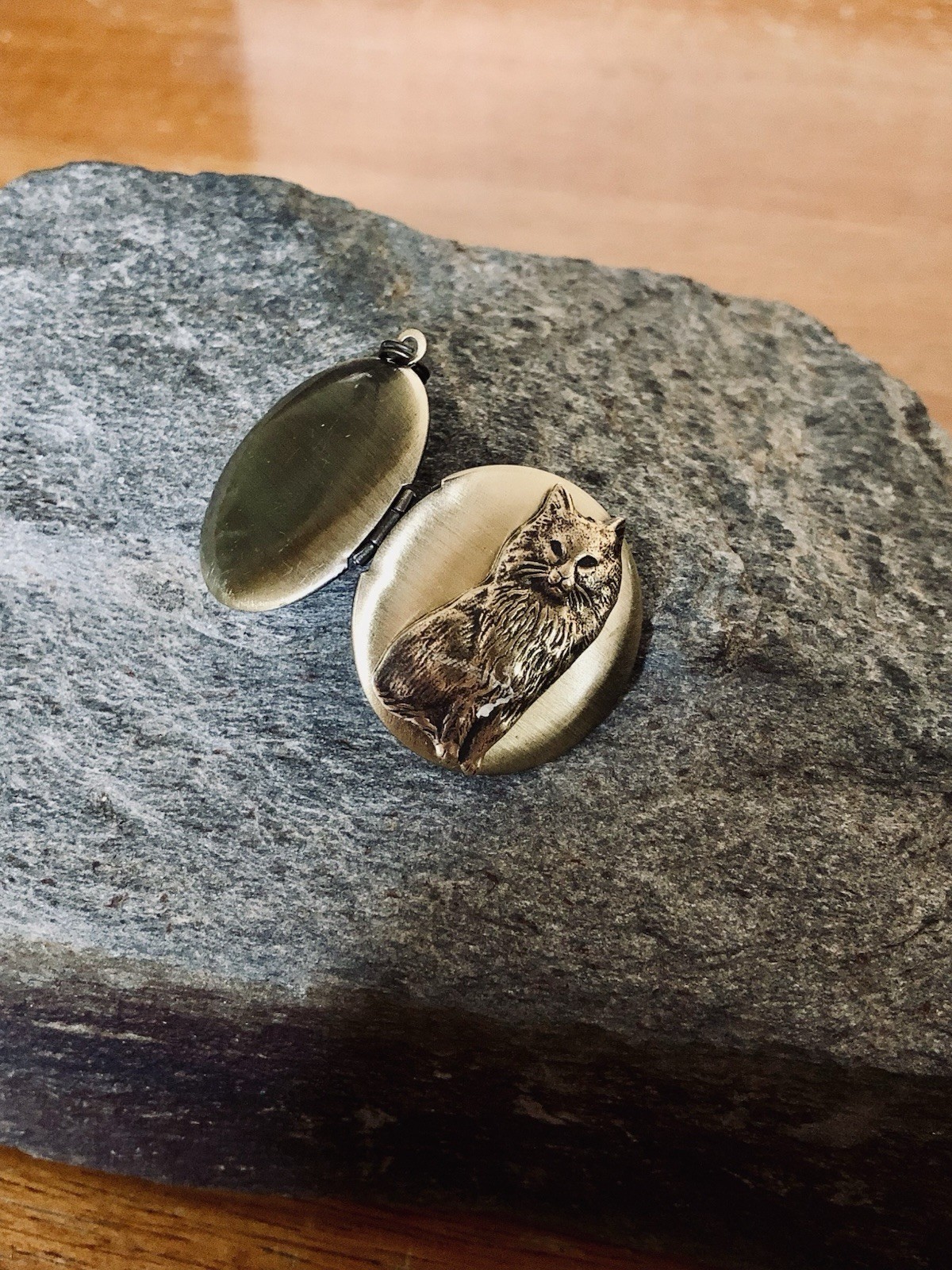 Vtg Cat Locket Necklace, Antique Brass, Photos, Ashes, Memorial Keepsake Pendant