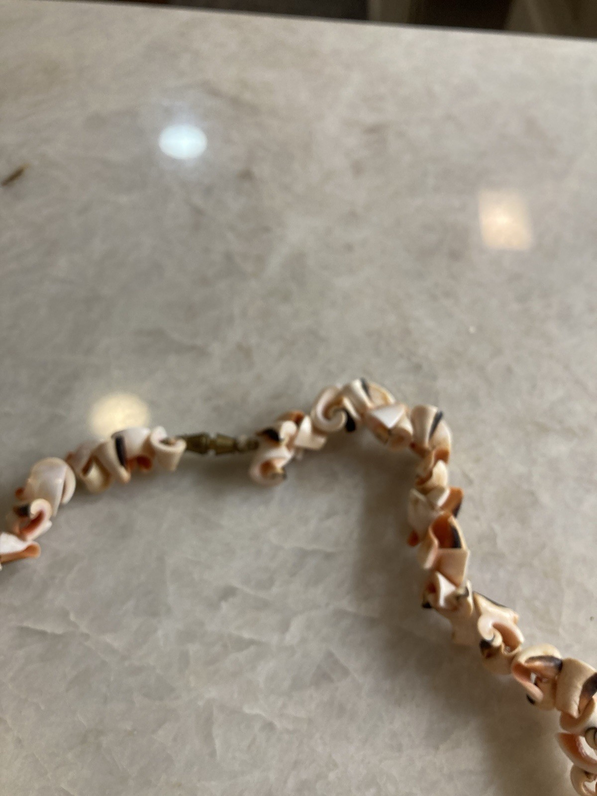 Unique Vintage Seashell Necklace