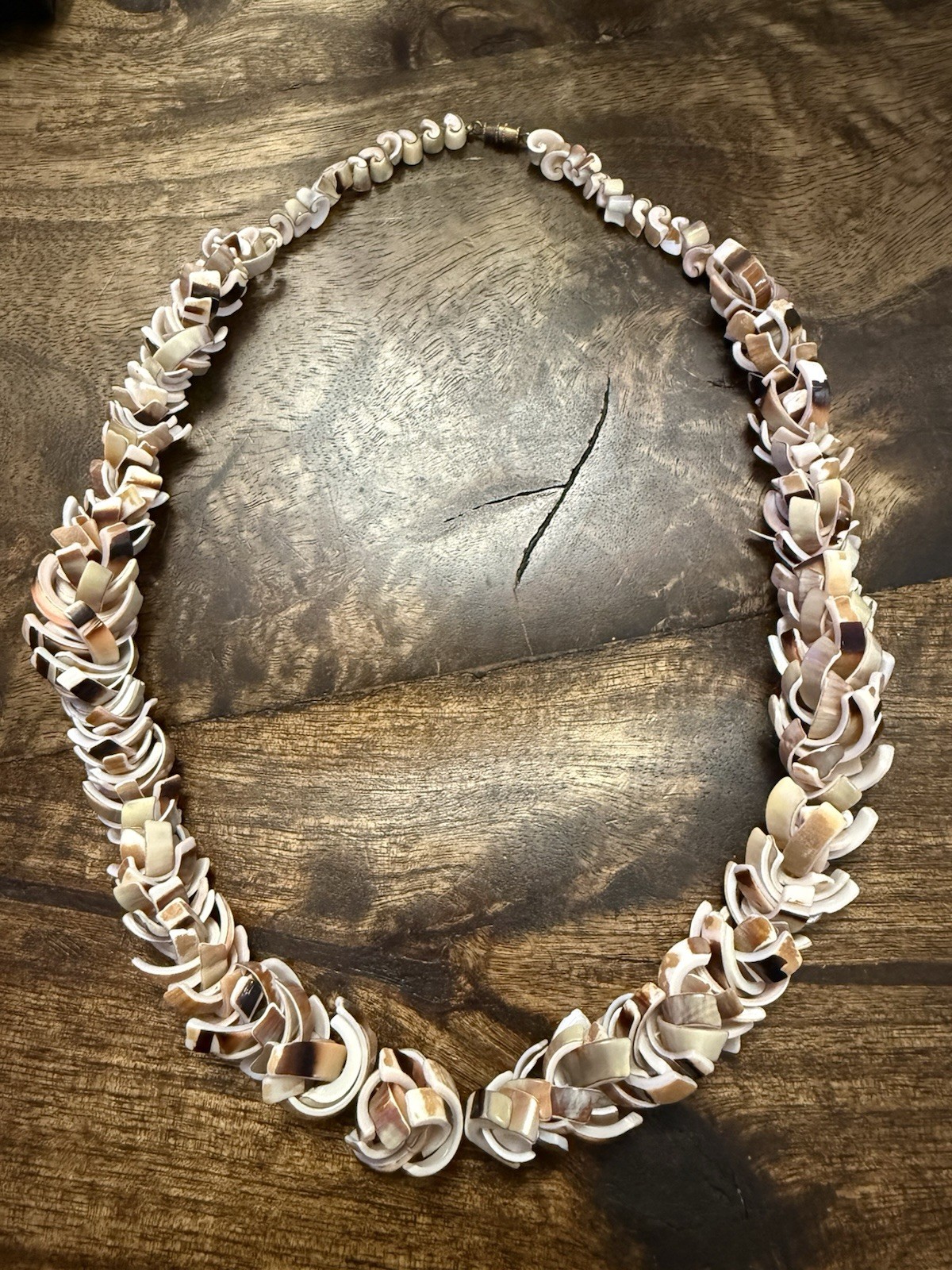Striking Vintage Multicolor Shell Slice Hawaiian Necklace for Beach/Summer, 20”