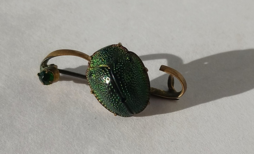 Antique Egyptian Revival Scarab Jewelry Real Scarab Beetle Bar Pin