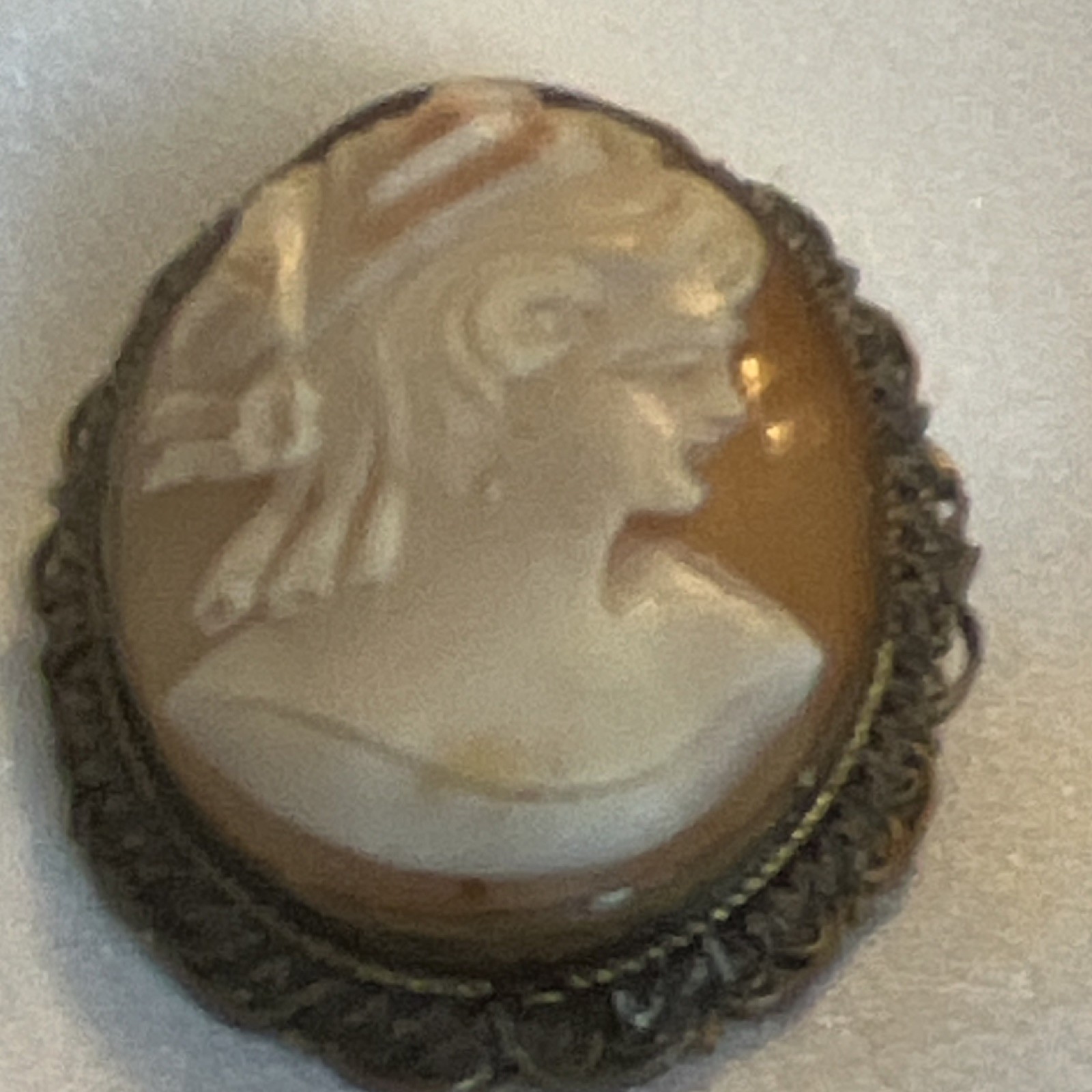 Vintage Hand craved Shell Cameo Brooch and Pin combo with filigree frame