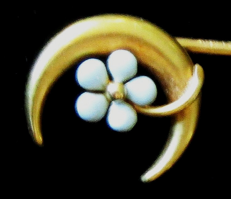 Victorian CRESCENT MOON & Forget Me Not Gold & Turquoise Stick Pin
