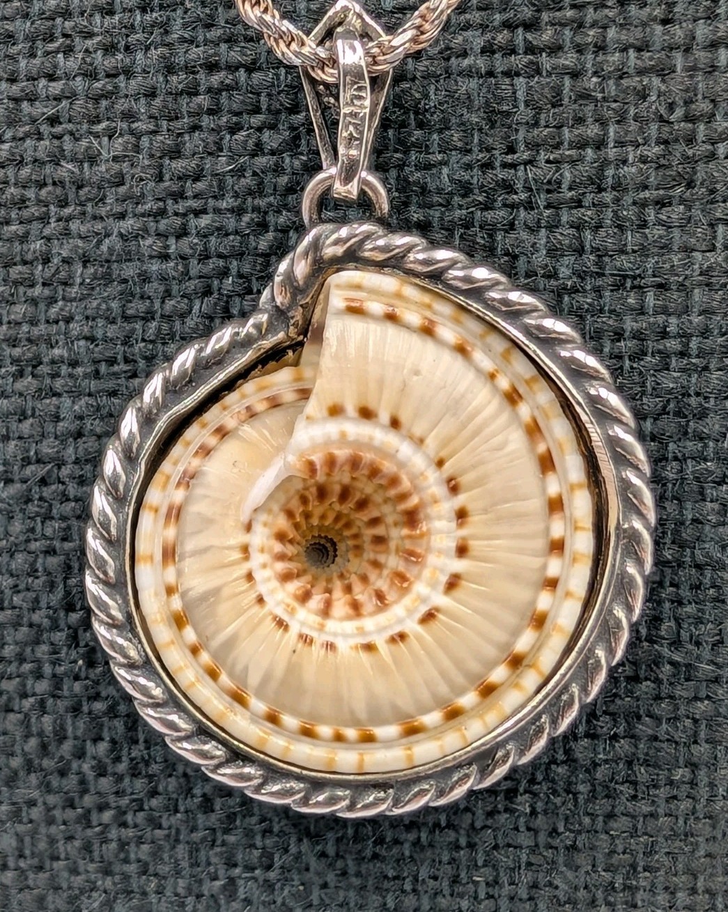 Vtg 925 Sterling Silver Sundial Seashell Pendant Necklace 18″ Italian Rope Chain